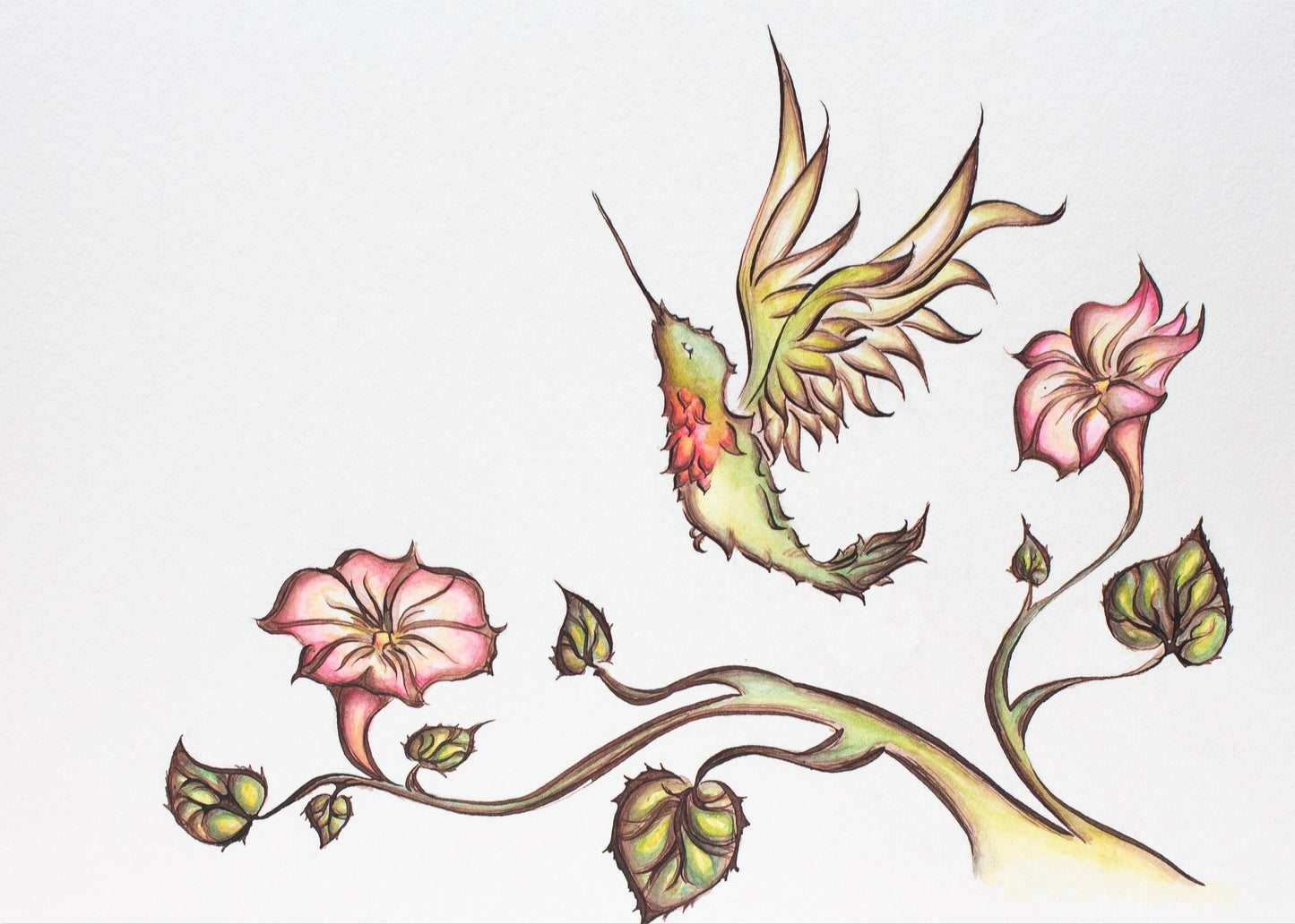 Morning Glory Fine Art Giclee Print