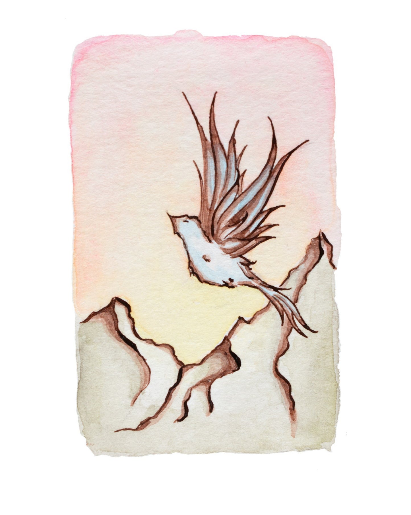 Mountain Bluebird Fine Art Giclee Print