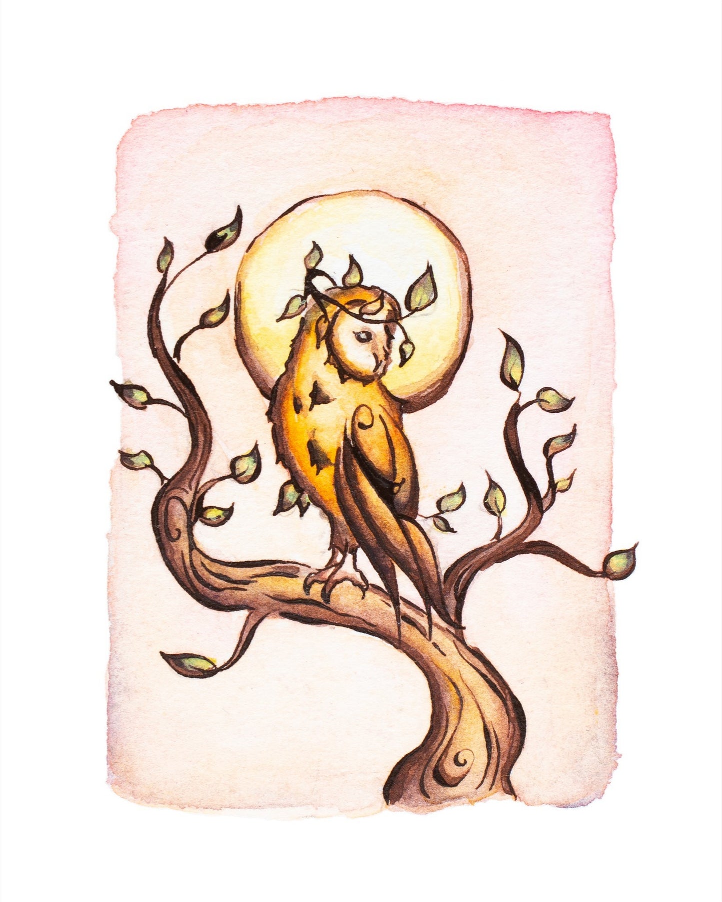 Owl King Giclee Fine Art Print