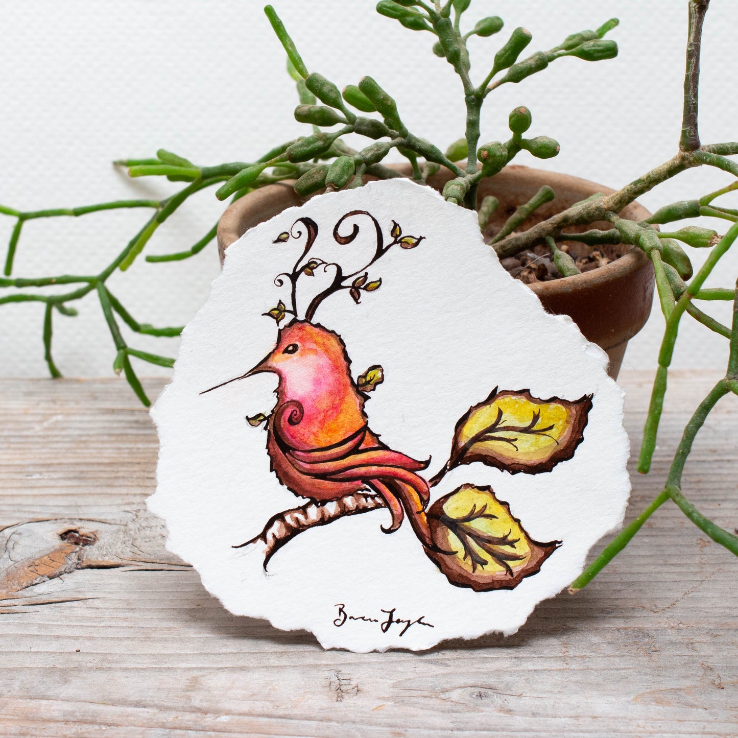 Rufous Hummingbird on Aspen Branch Original Illustration