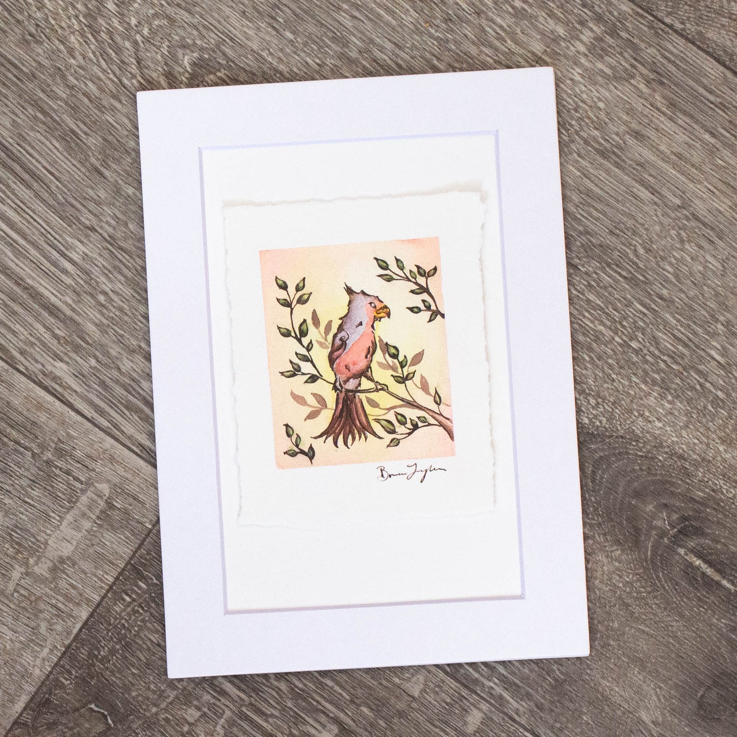 "Pyrrhuloxia" Original Illustration