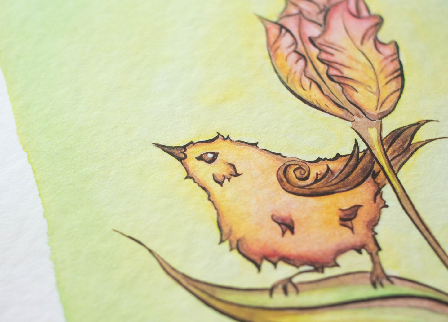 Spring Wren Signed Archival Giclee Print