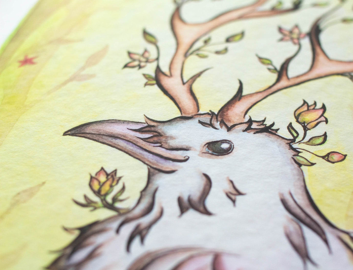 Spring Raven Signed Archival Giclee Print