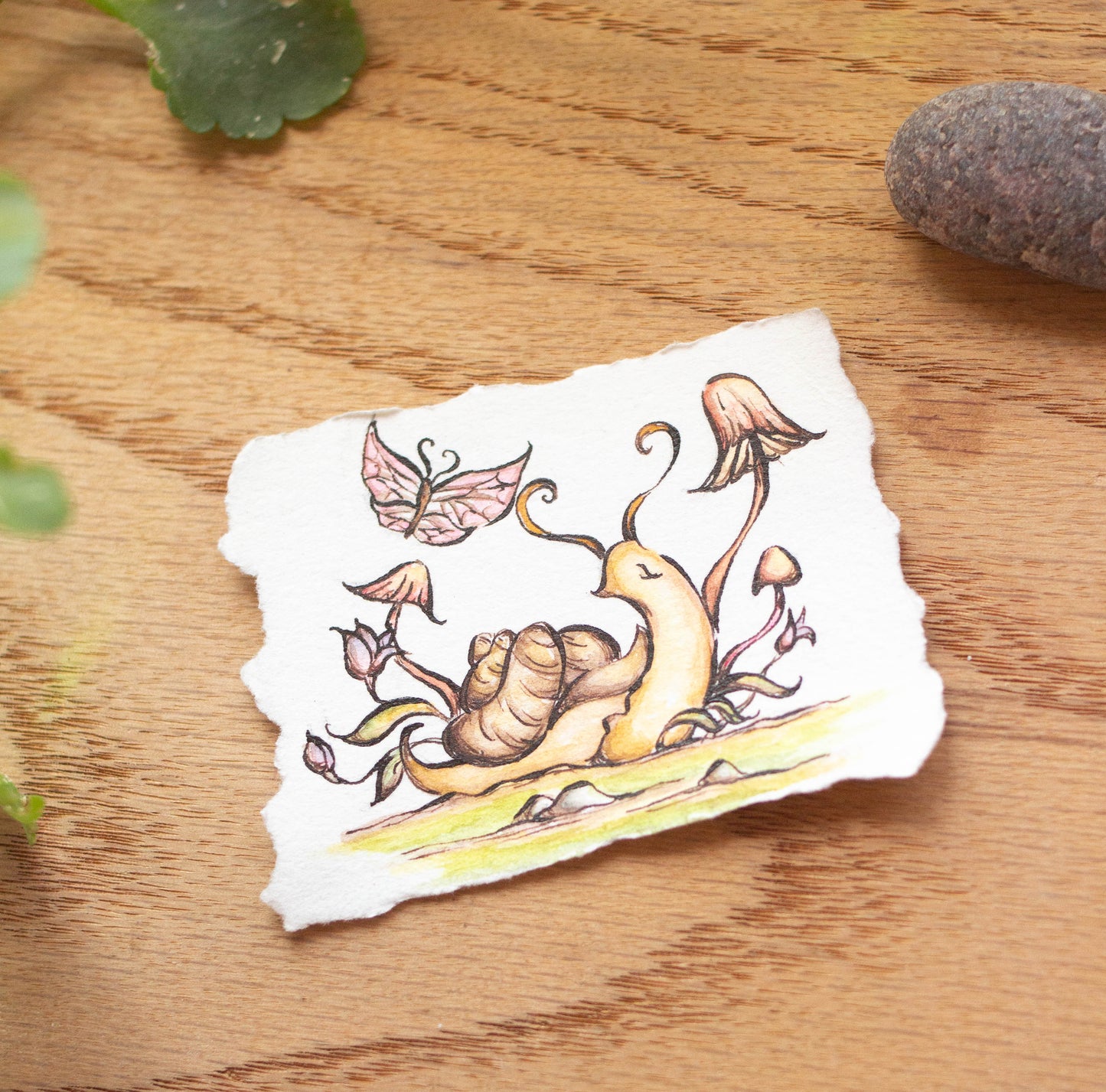 "Garden Snail" Tiny Original Illustration