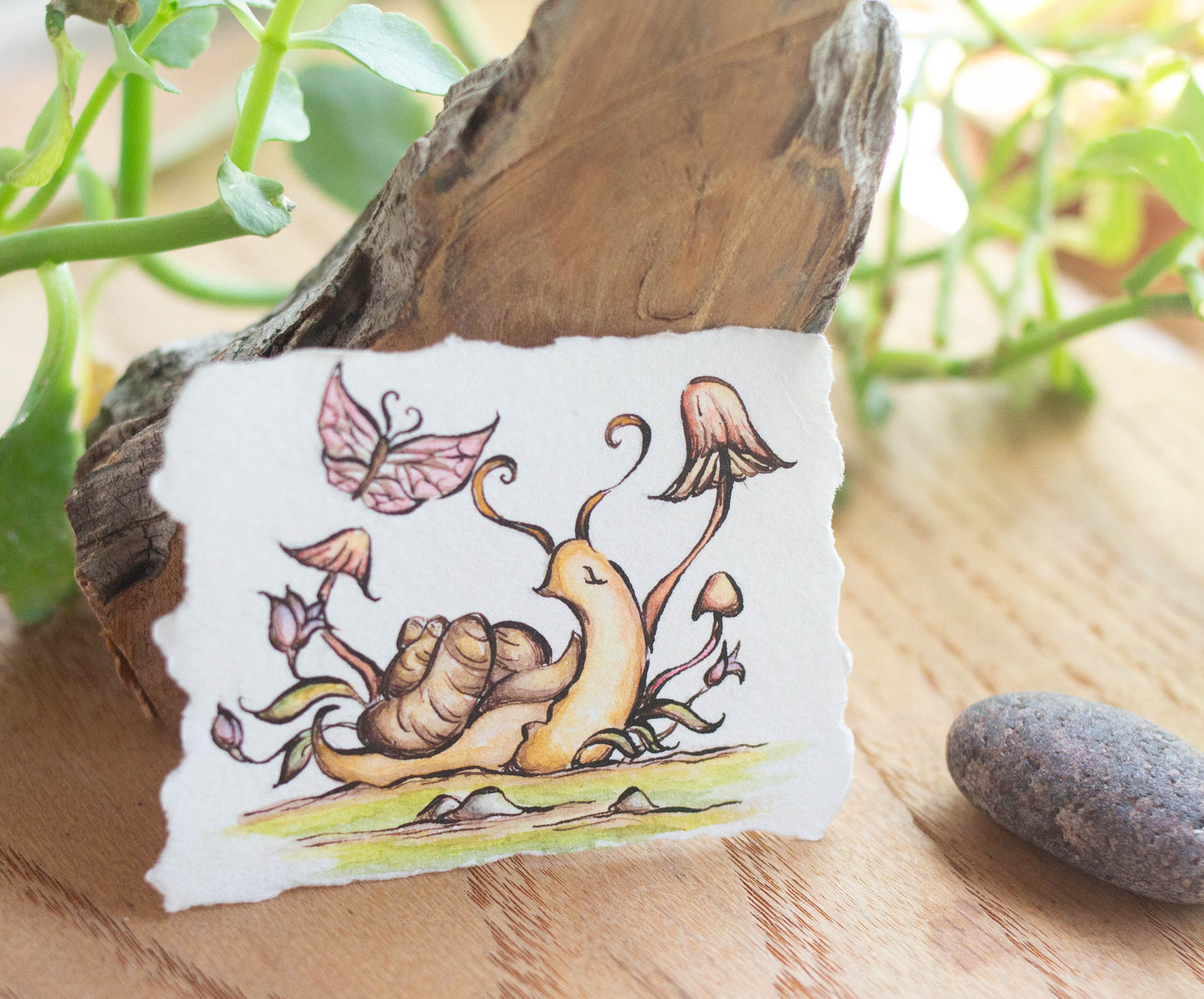 "Garden Snail" Tiny Original Illustration