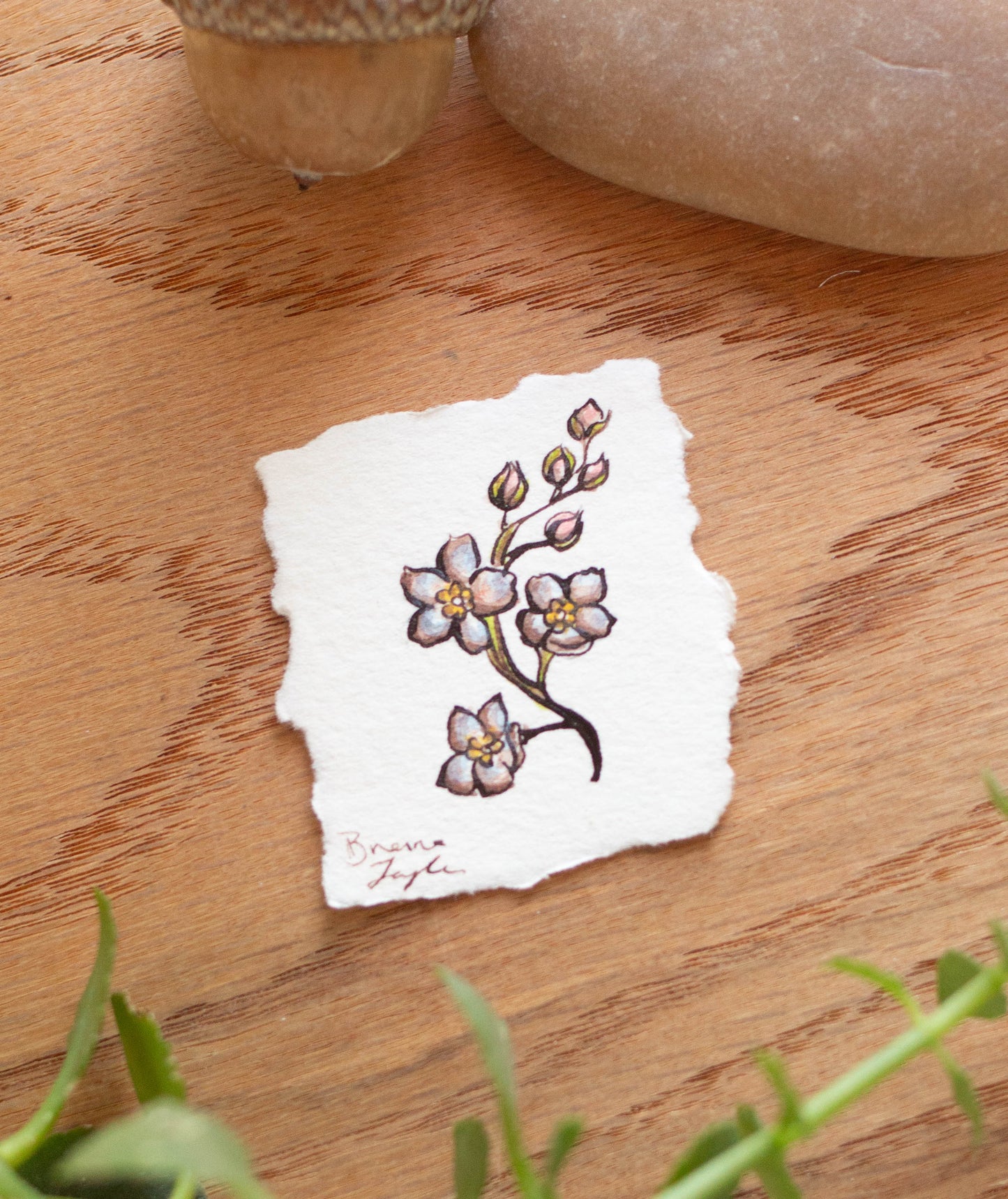 "Forget Me Nots" Tiny Original Illustration