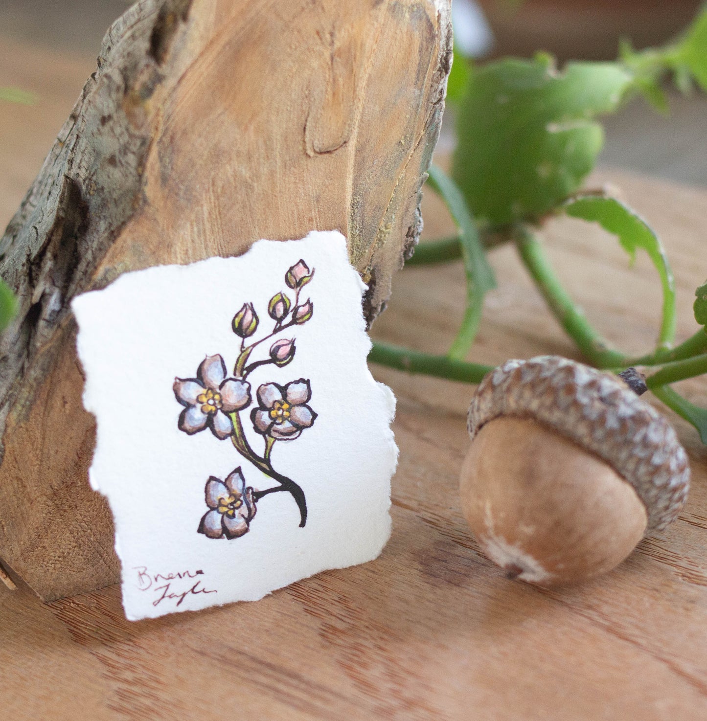 "Forget Me Nots" Tiny Original Illustration