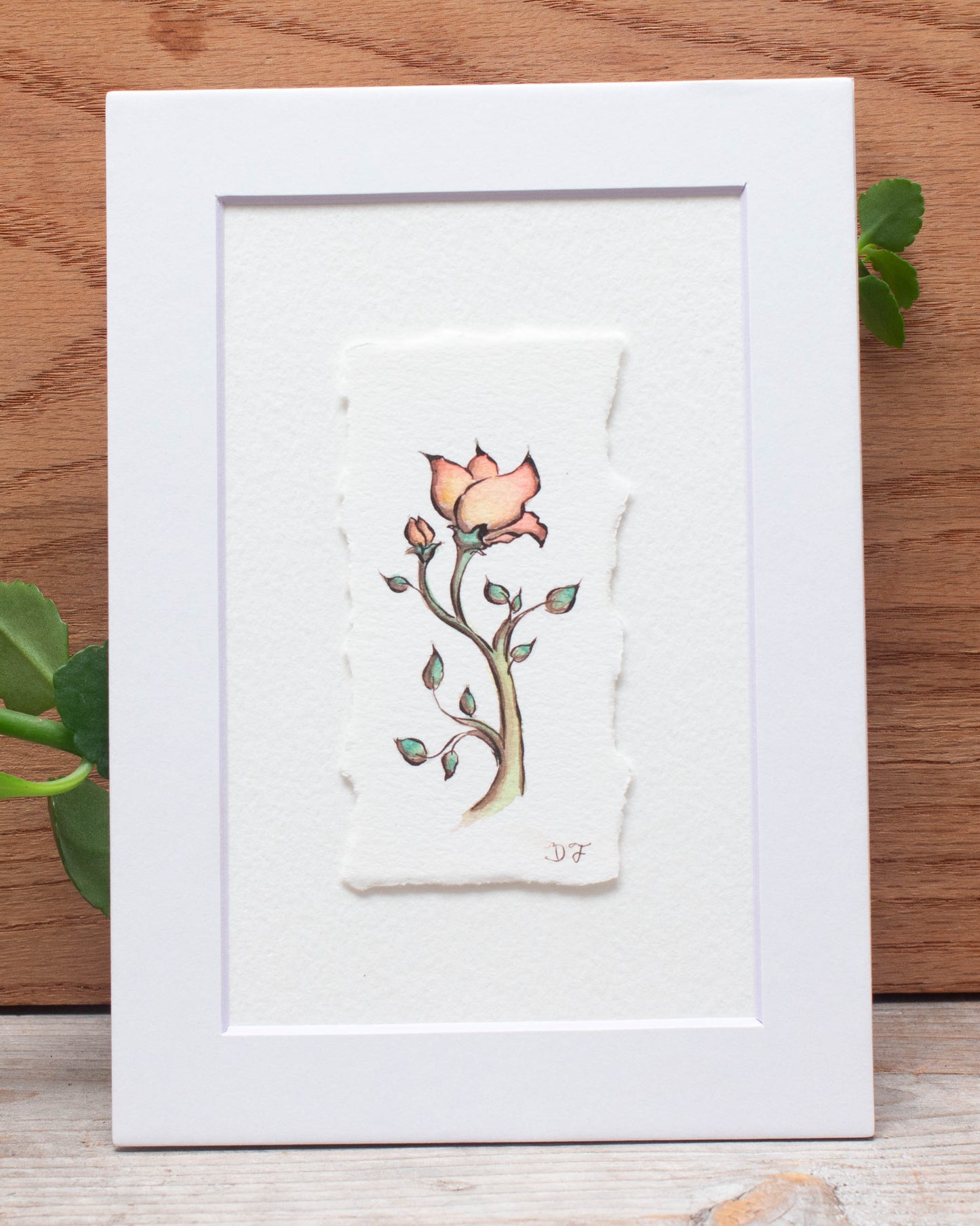 "Playful Petals" Original Illustration