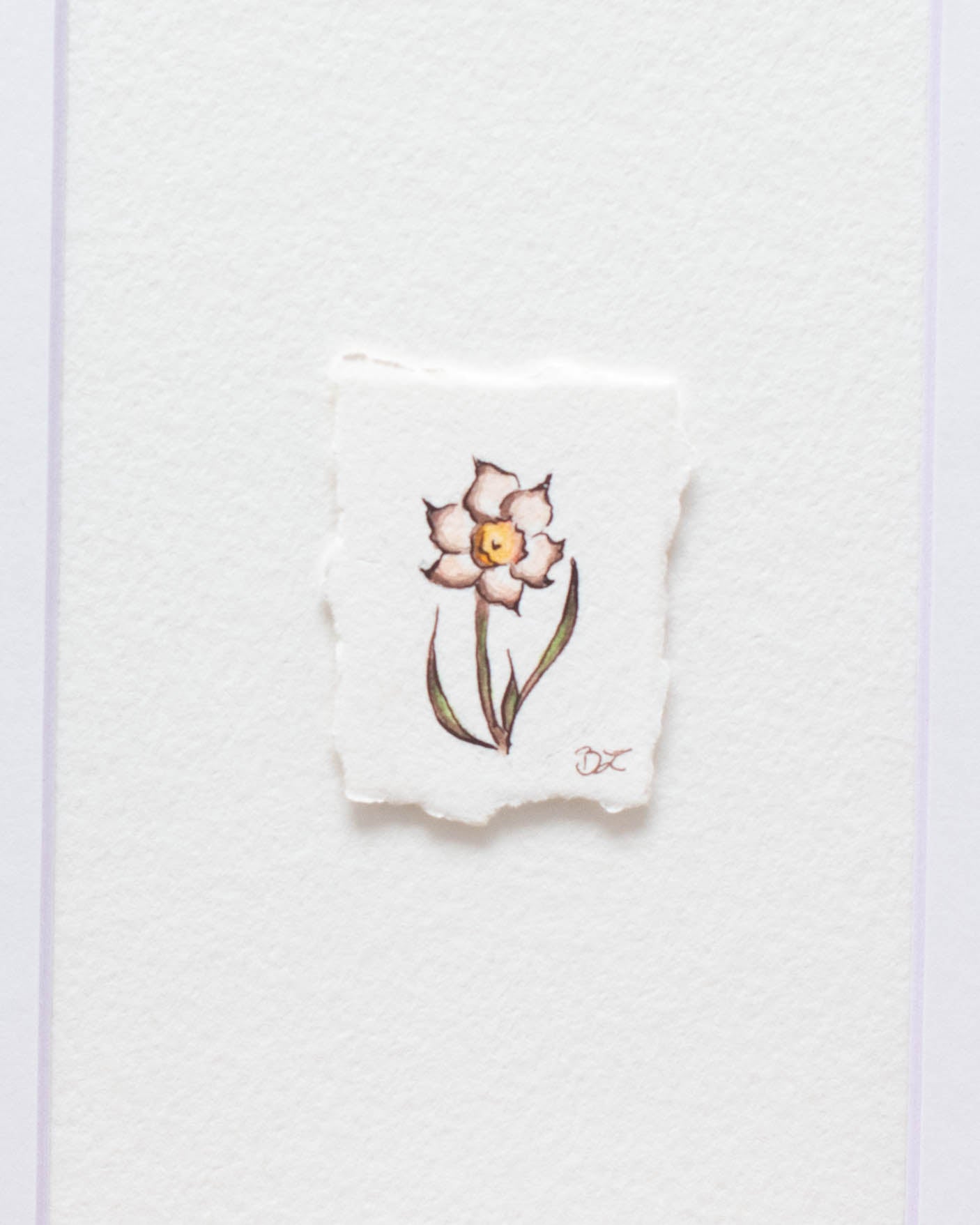 "Daffodil" Original Illustration