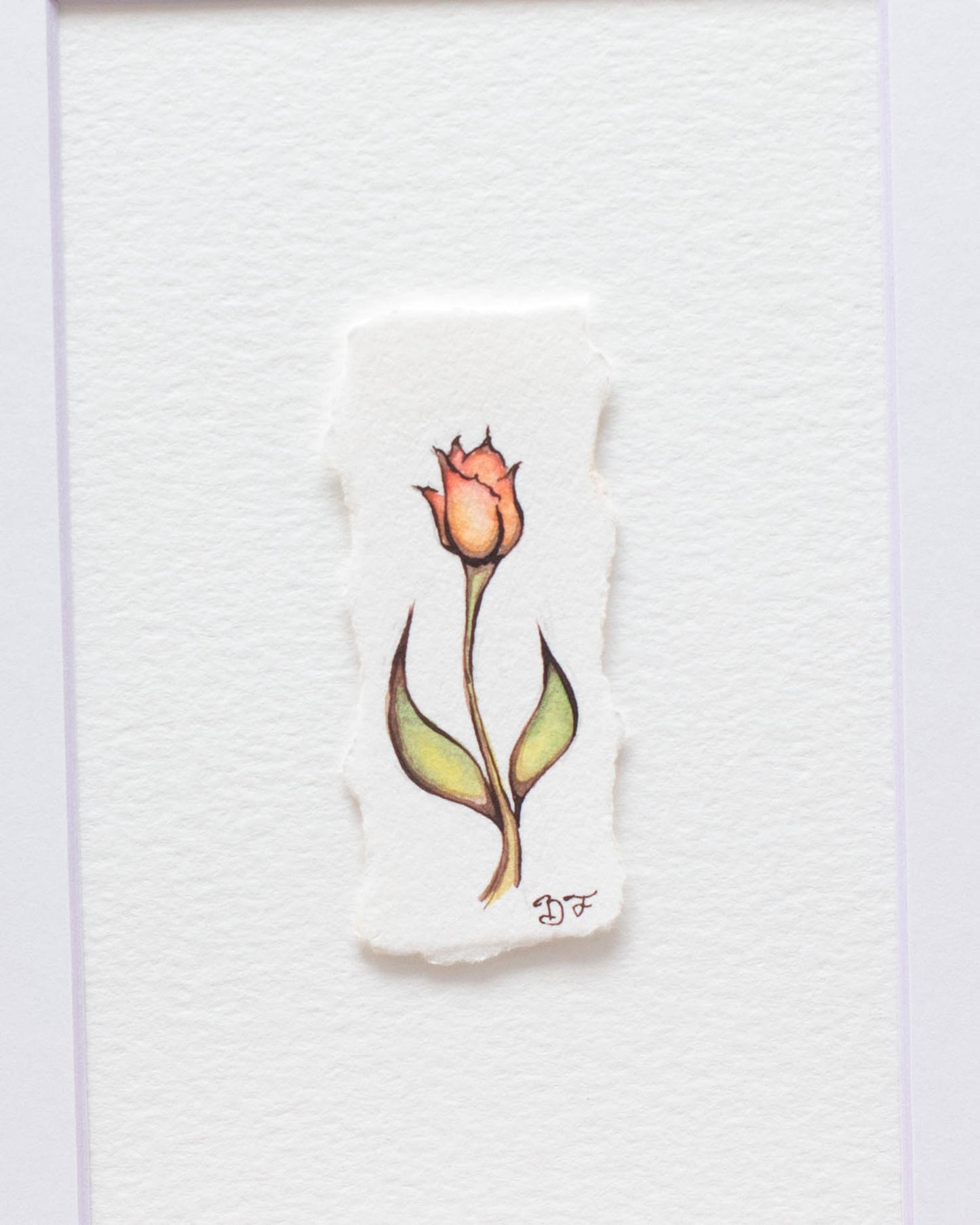 "Demure Tulip" Original Illustration