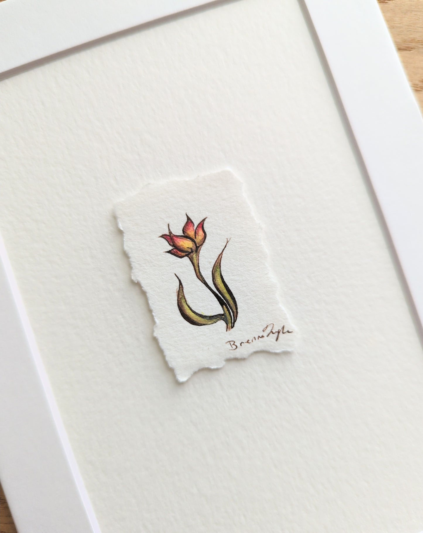 "Wild Tulip" Tiny Original Illustration
