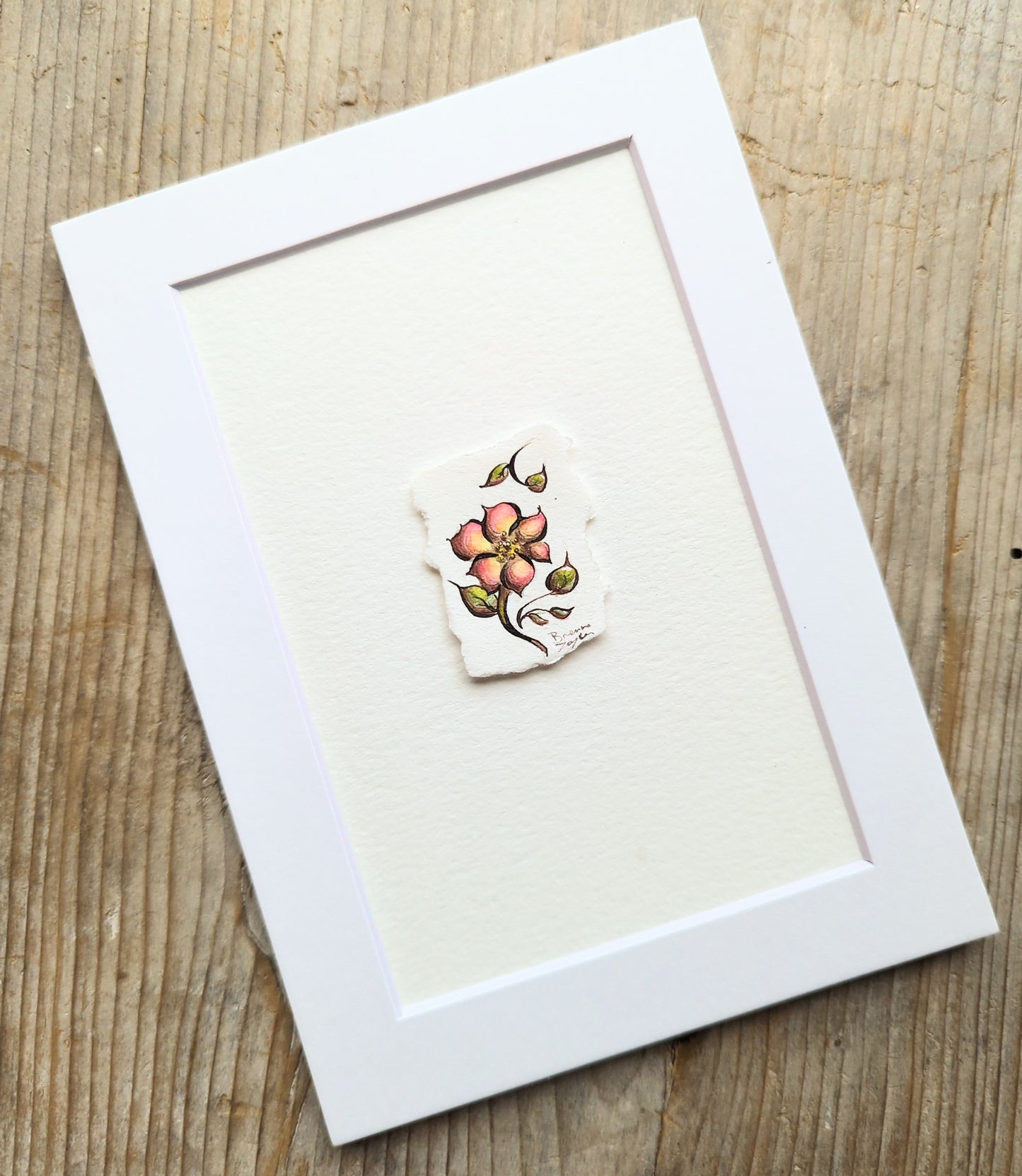 "Tiny Meadow Flower" Tiny Original Illustration