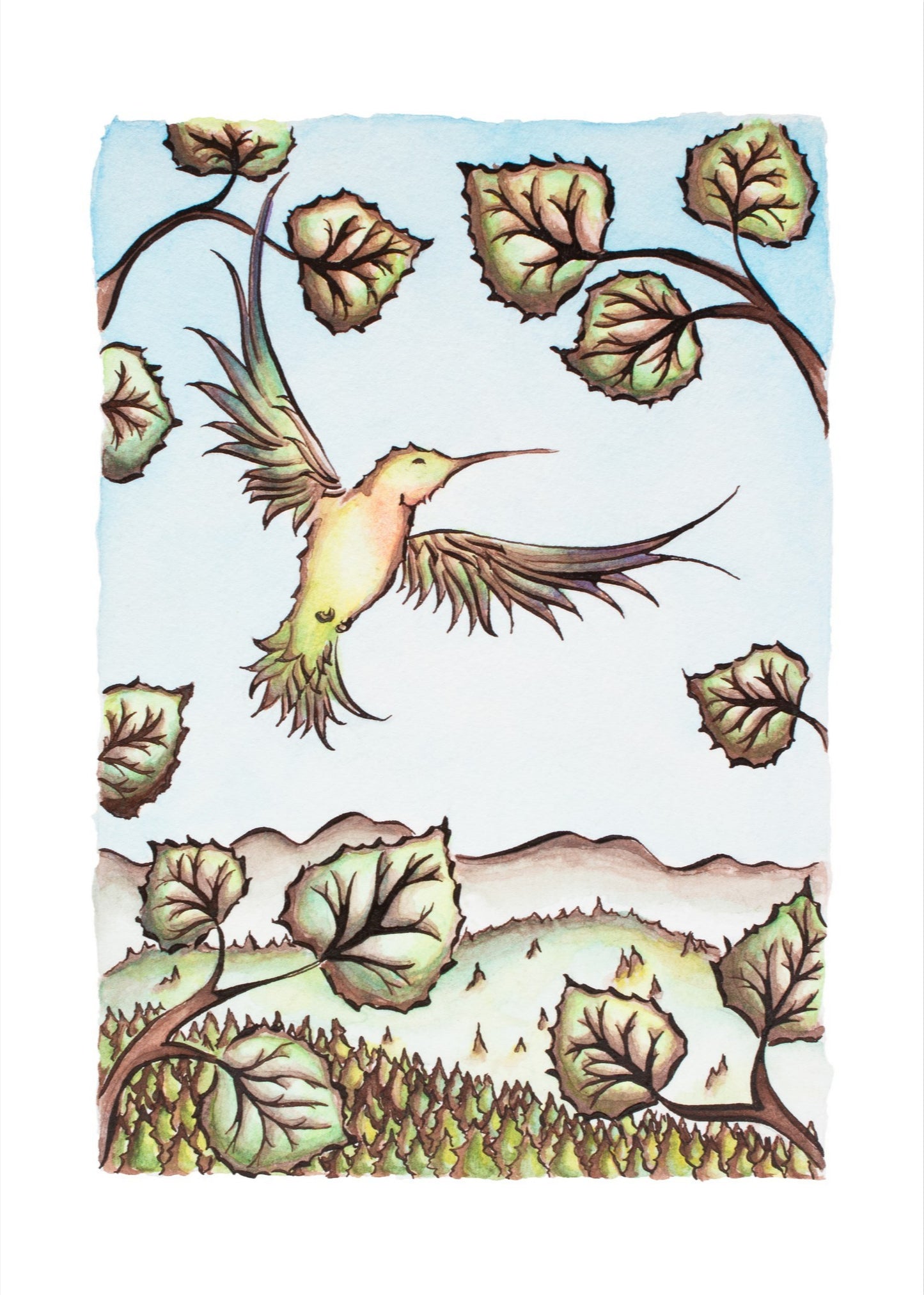 Angel Fire Hummingbird Fine Art Giclee Print