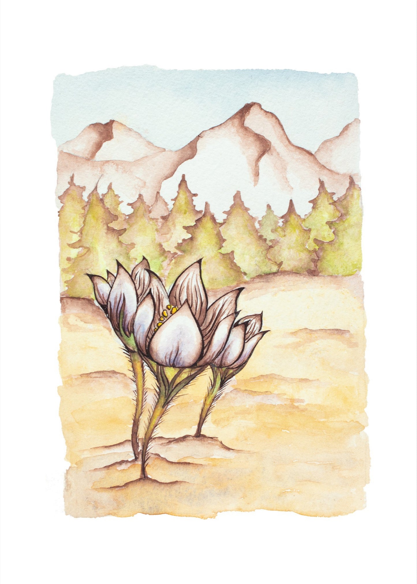 First Flowers of Spring Fine Art Giclee Print