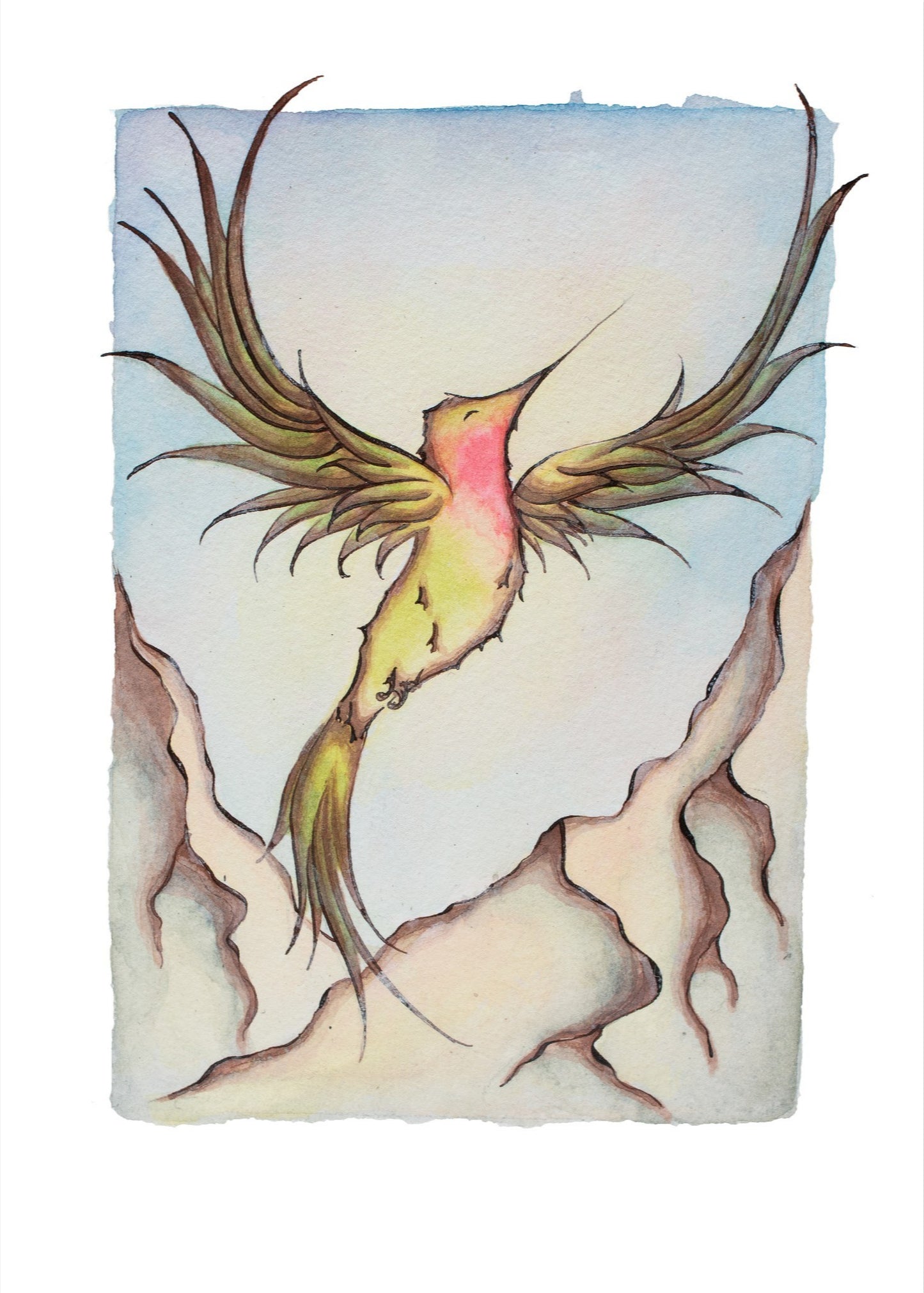 Mountain Hummingbird Fine Art Giclee Print