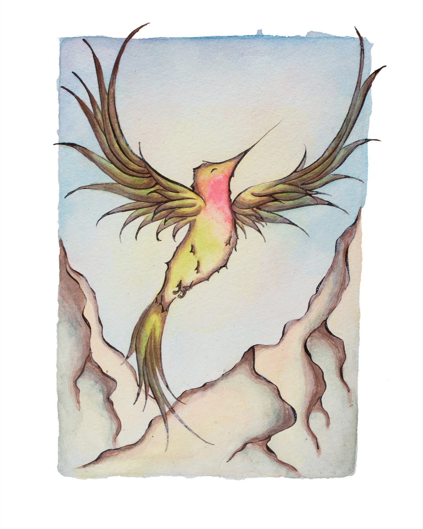 Mountain Hummingbird Fine Art Giclee Print