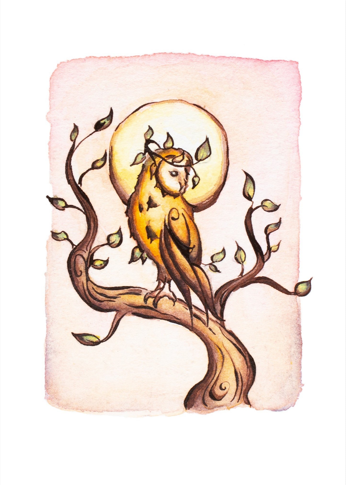 Owl King Giclee Fine Art Print