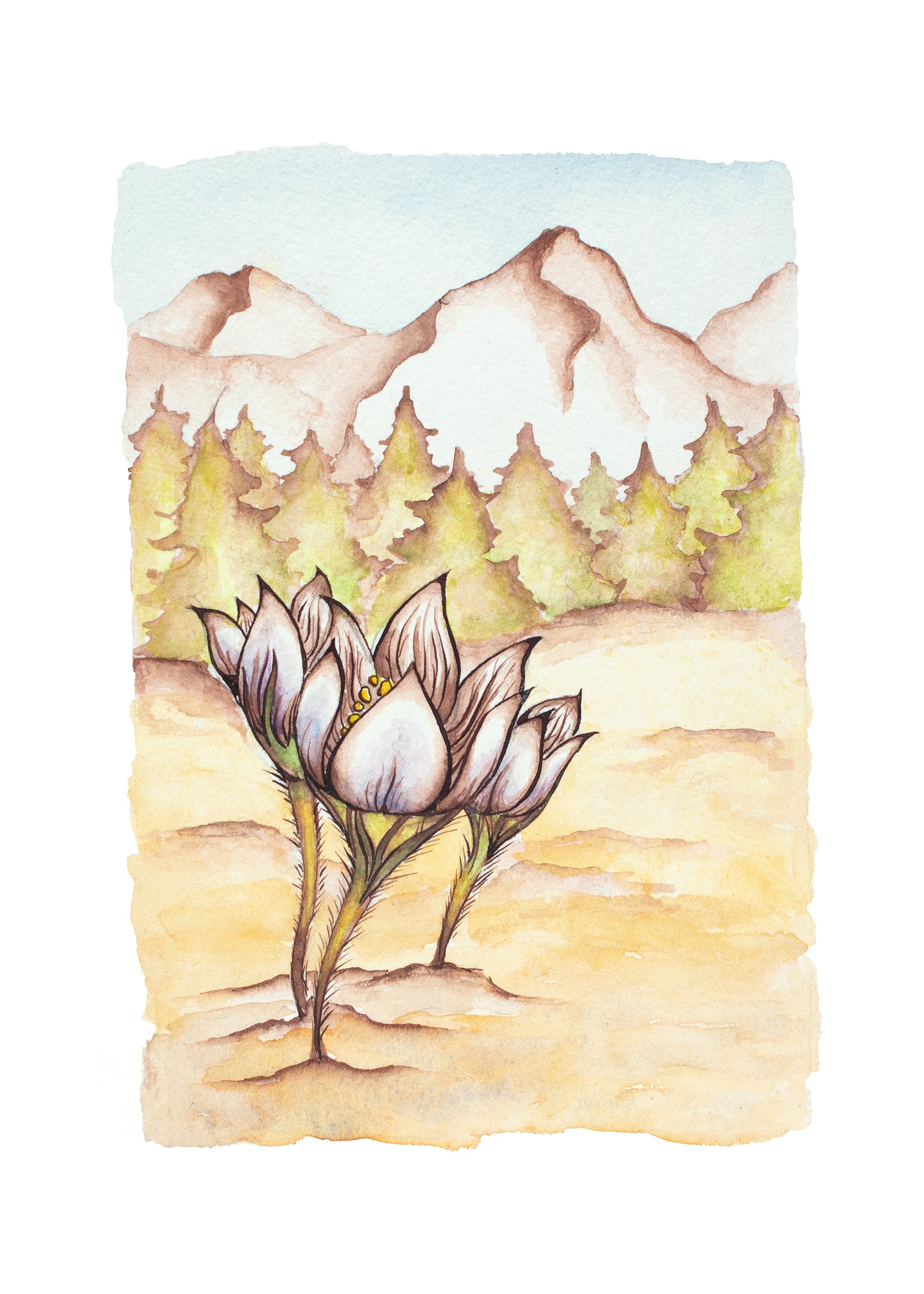 First Flowers of Spring Signed Fine Art Giclee Print
