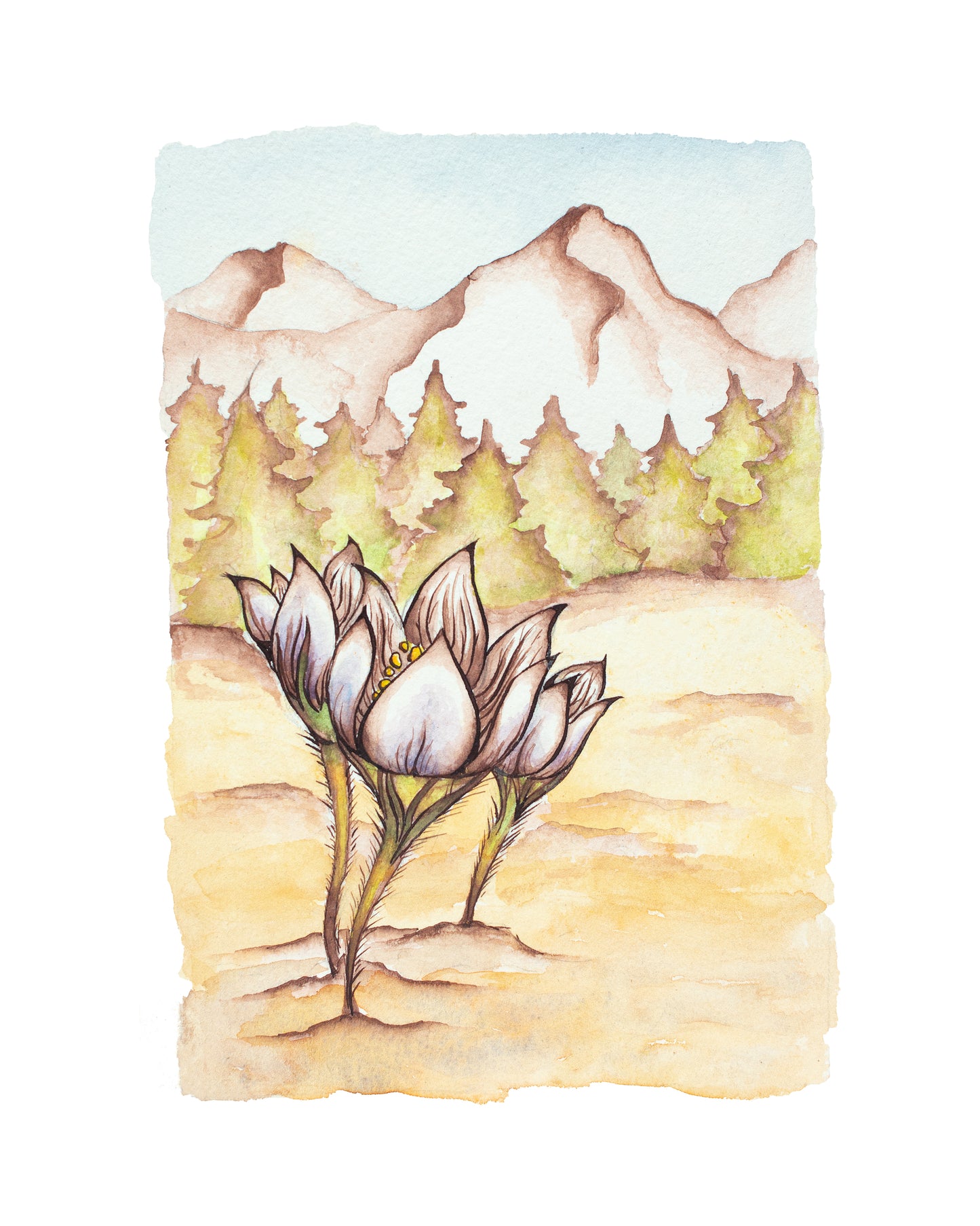 First Flowers of Spring Signed Fine Art Giclee Print