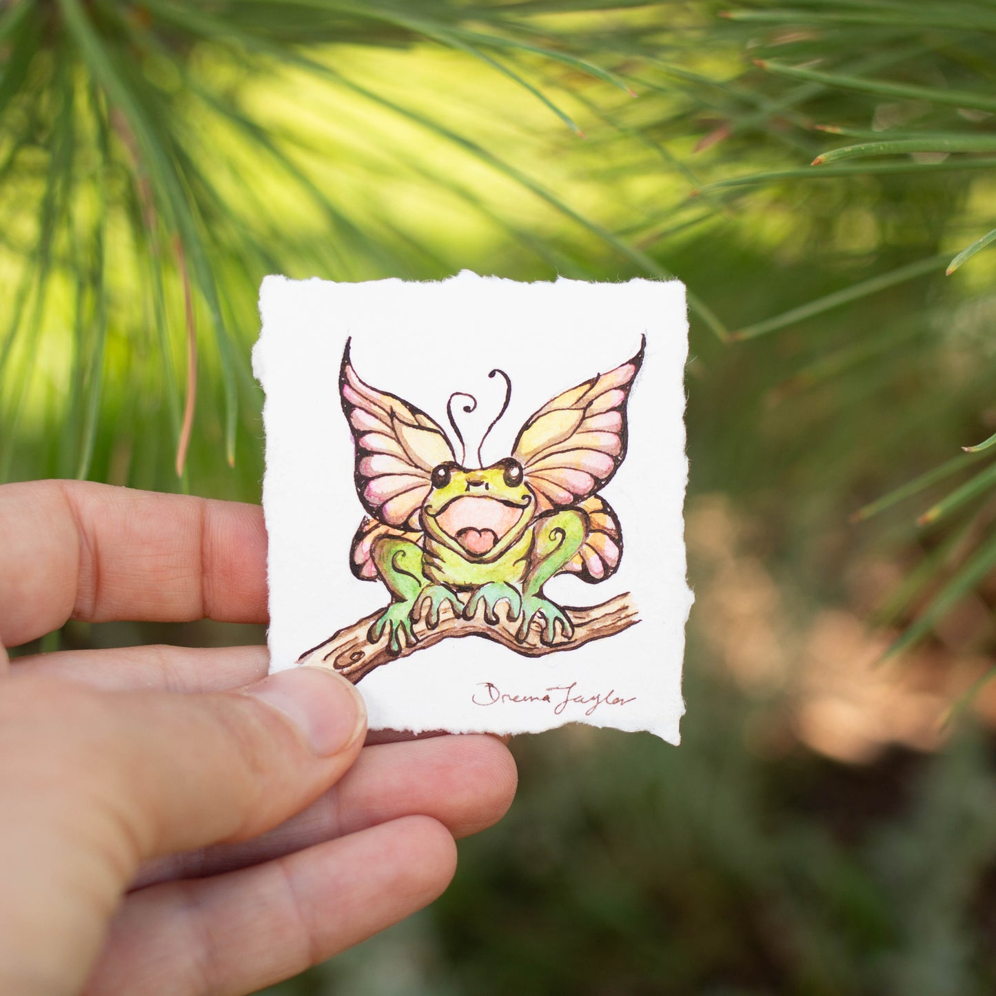 Tiny, Happy Fairy Frog on Branch Illustration