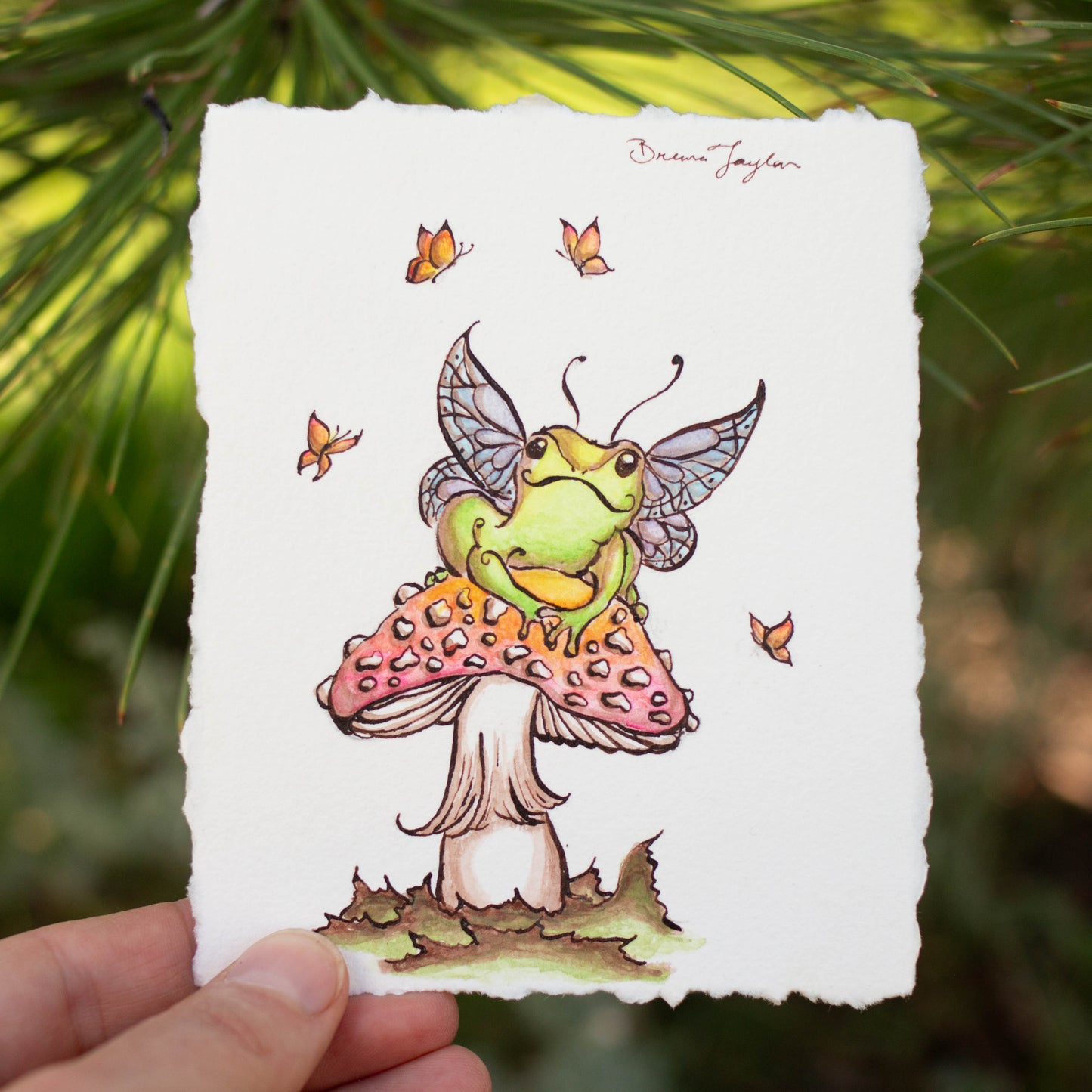 Happy Fairy Frog with Butterfly Friends Illustration