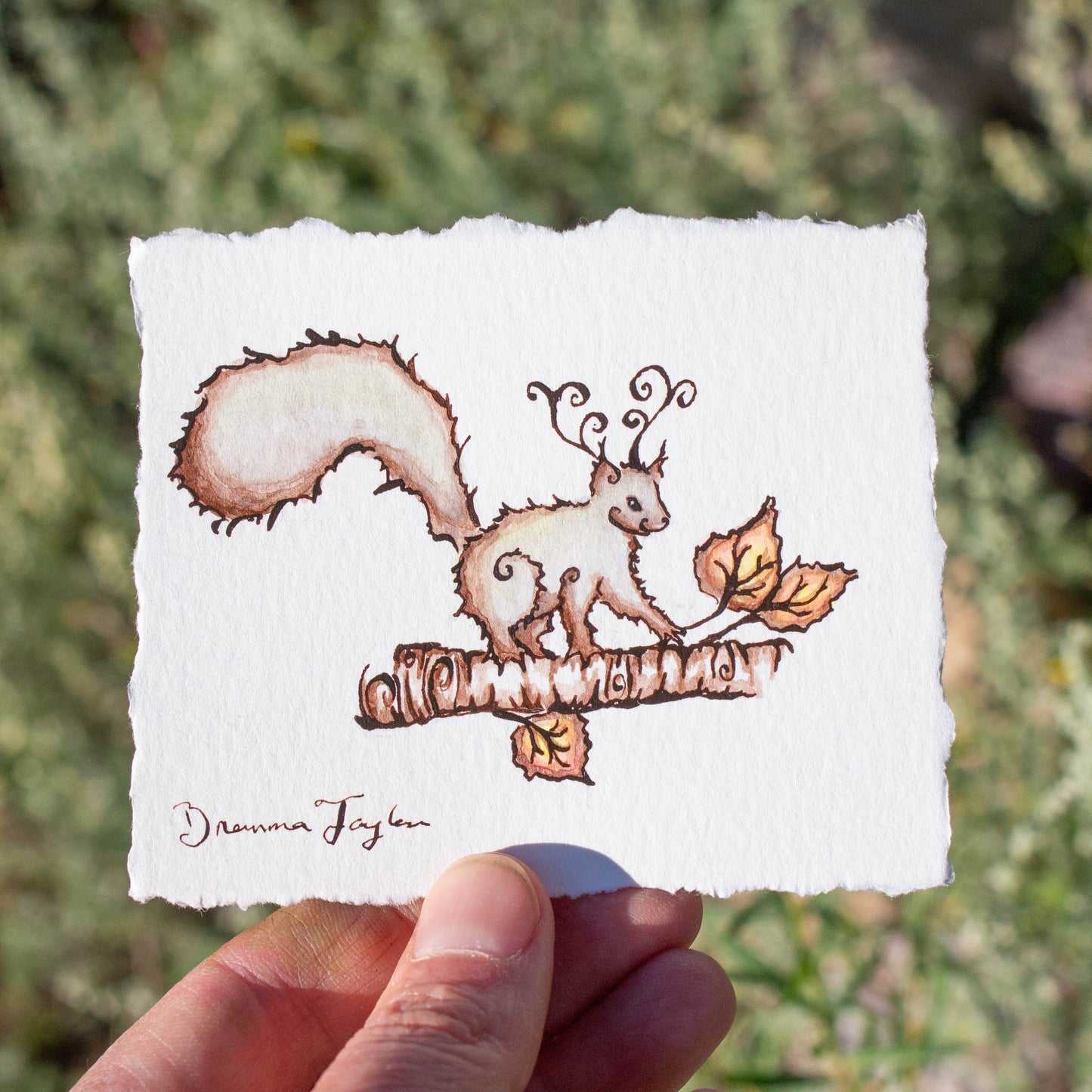 Fae Squirrel Original Illustration