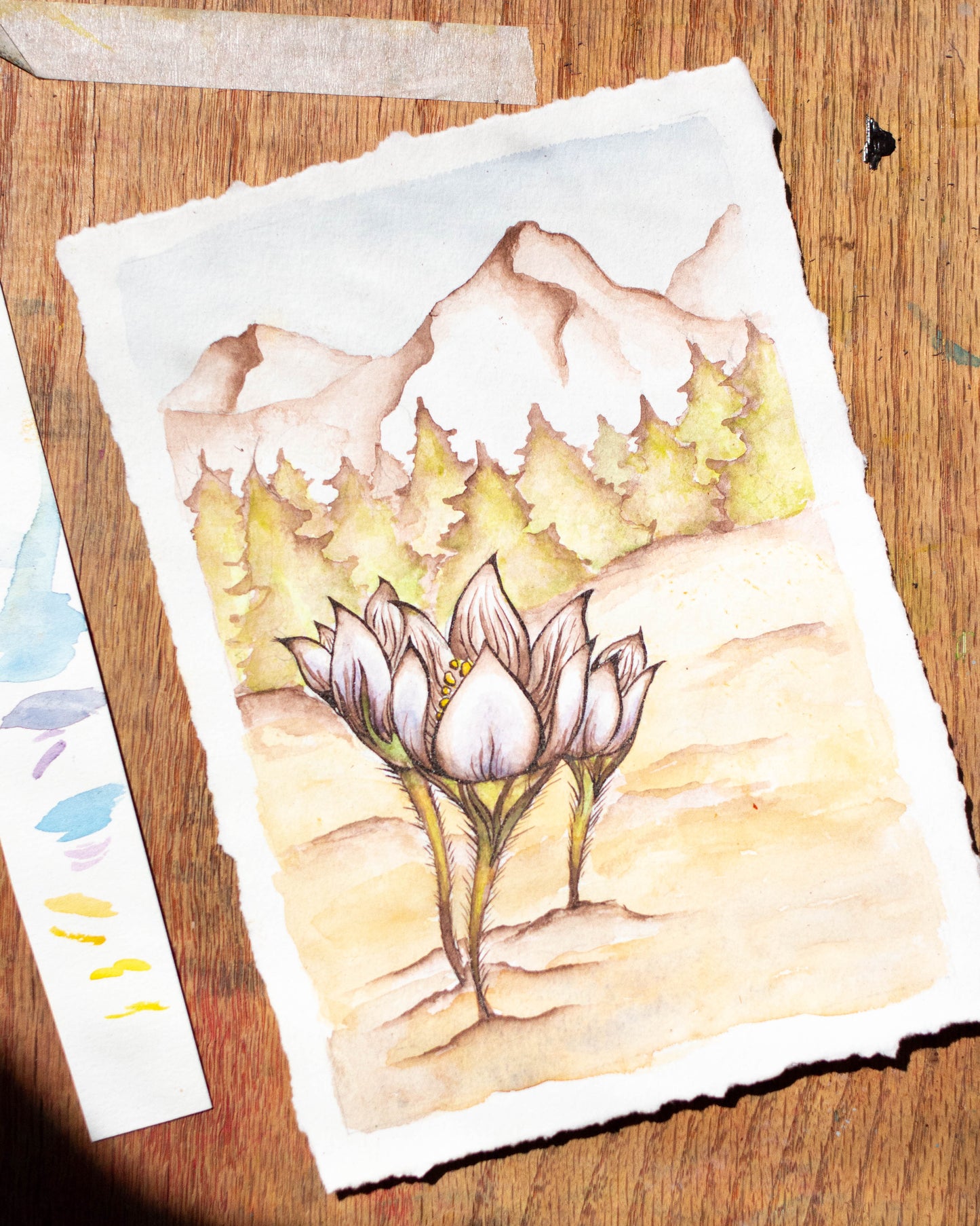 First Flowers of Spring Original Illustration