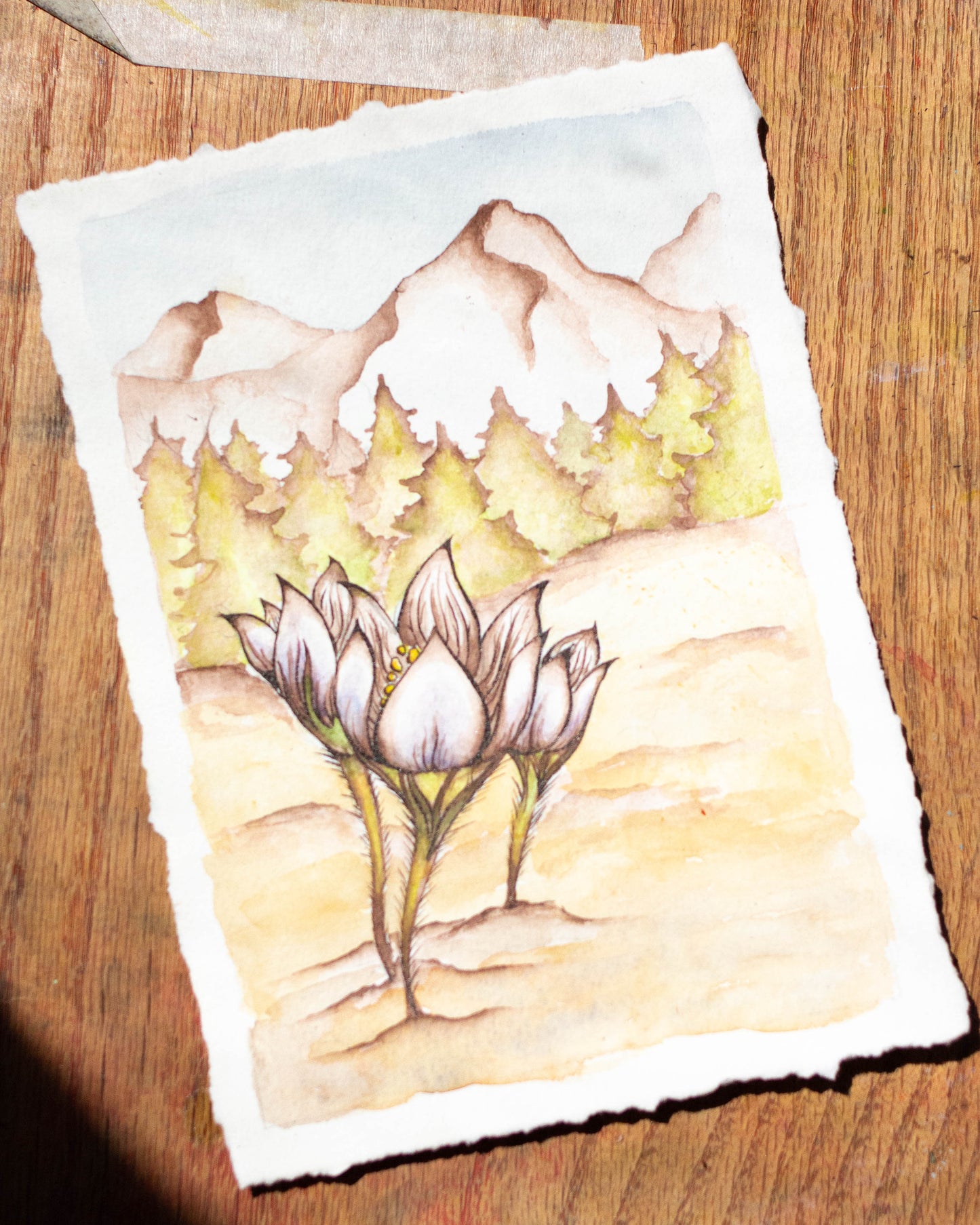 First Flowers of Spring Original Illustration