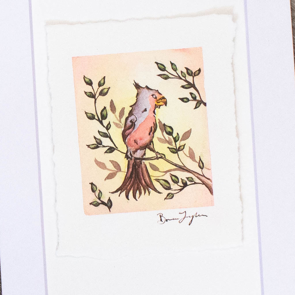 "Pyrrhuloxia" Original Illustration