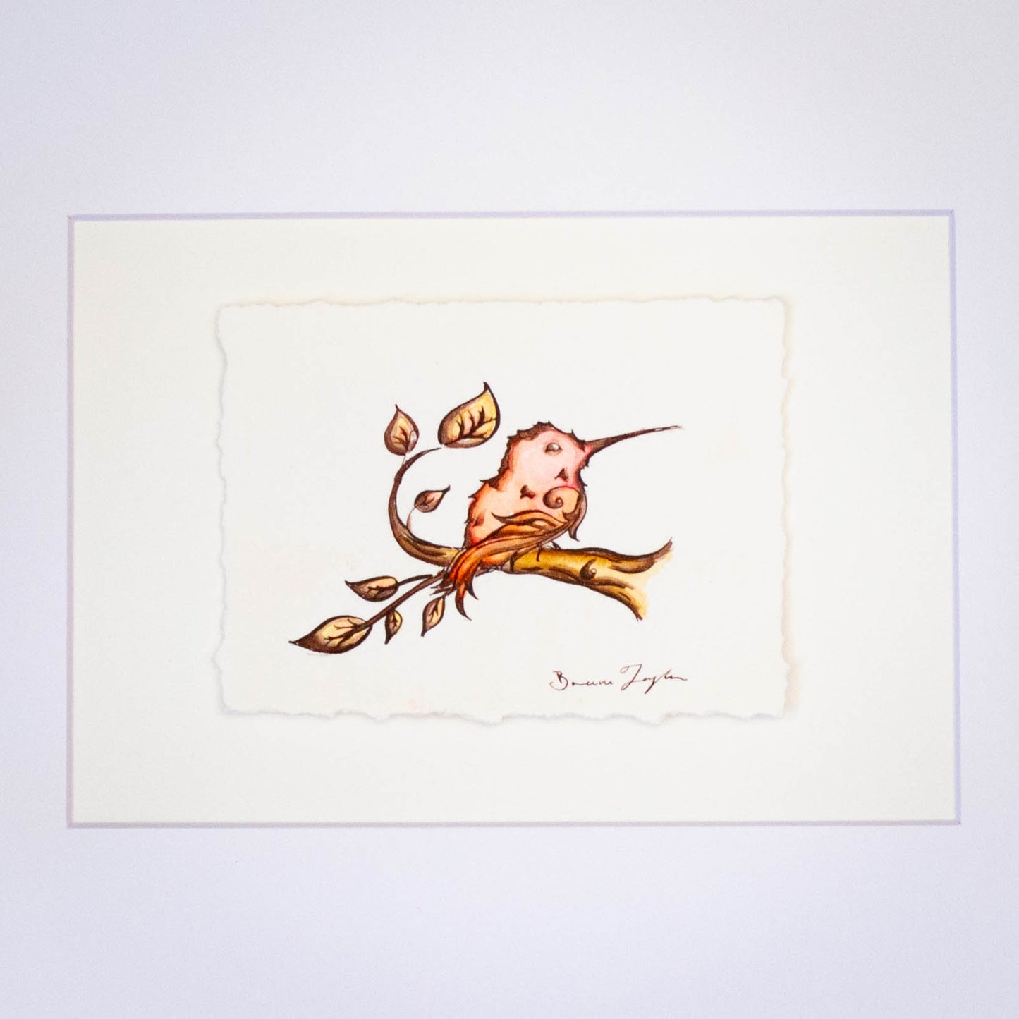 "Rufous Hummingbird on Branch" Original Illustration