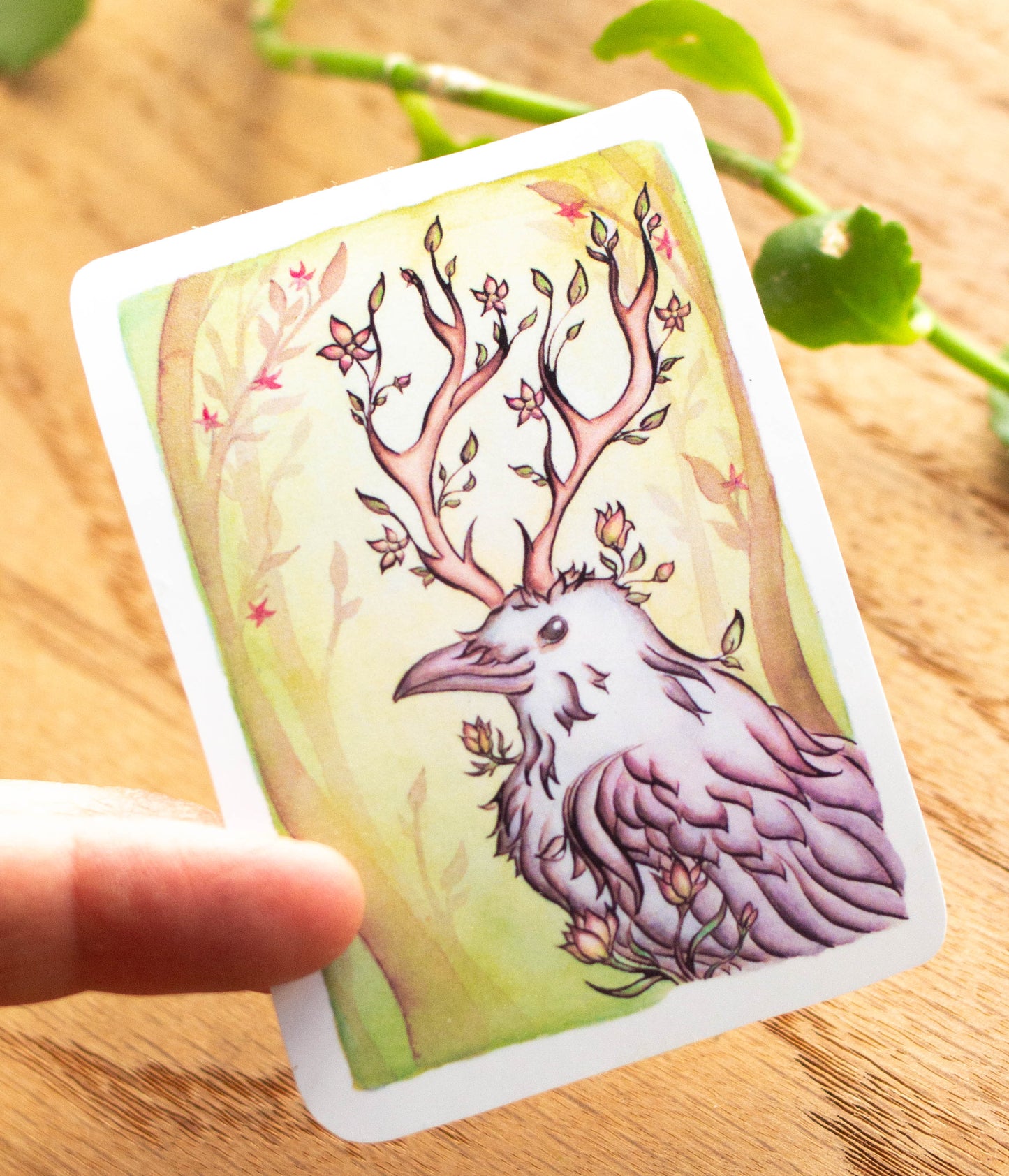 Spring Raven Vinyl Sticker