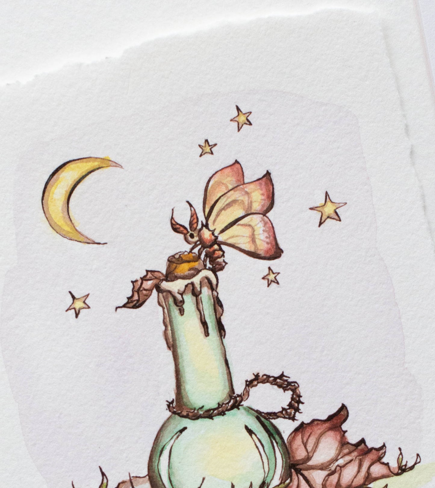 "Moth Apothecary" Original Illustration