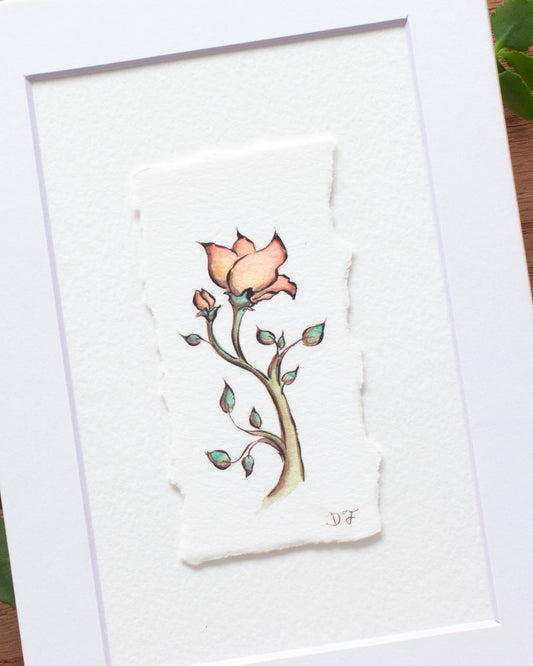 "Playful Petals" Original Illustration