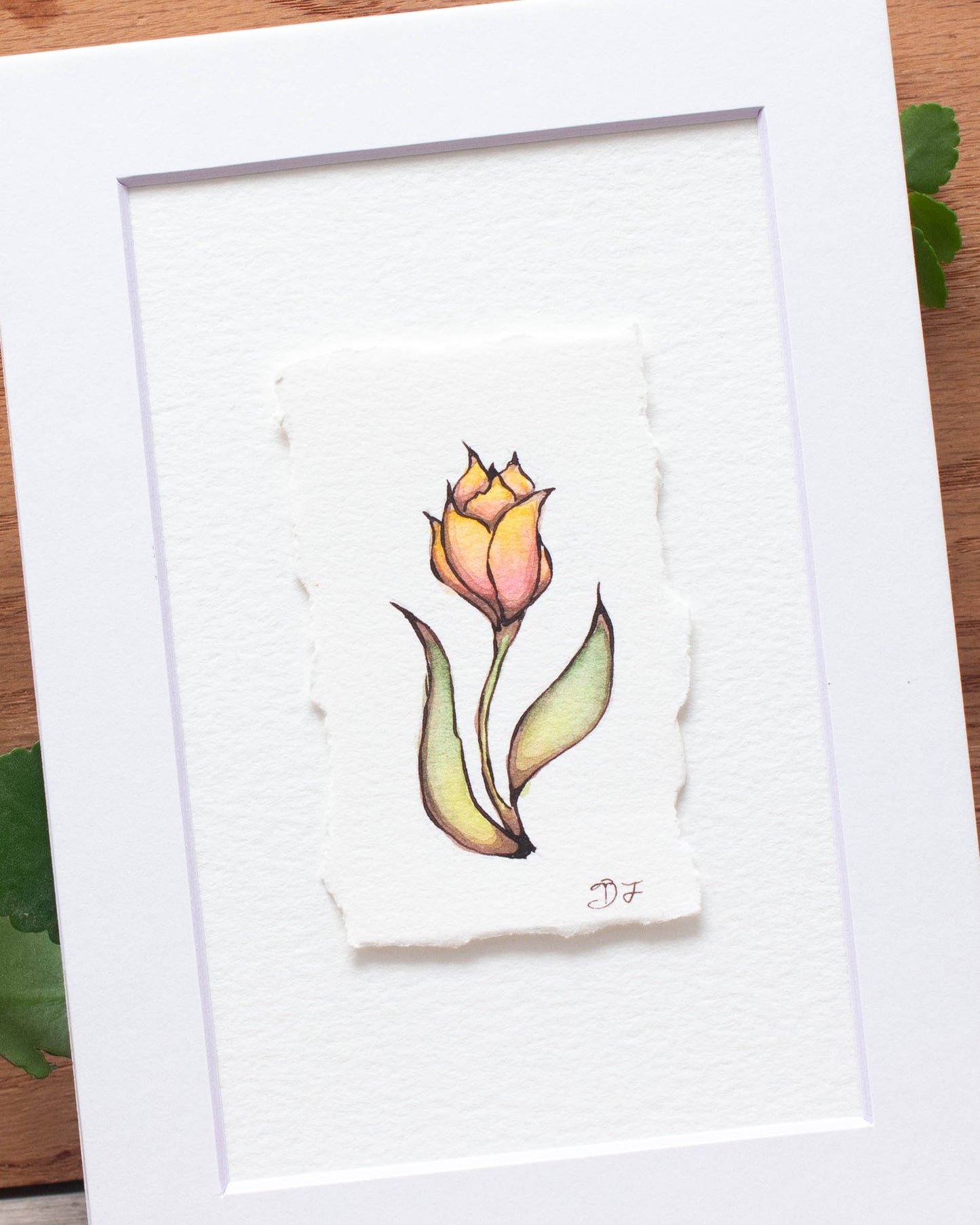 "Dancing Tulip" Original Illustration