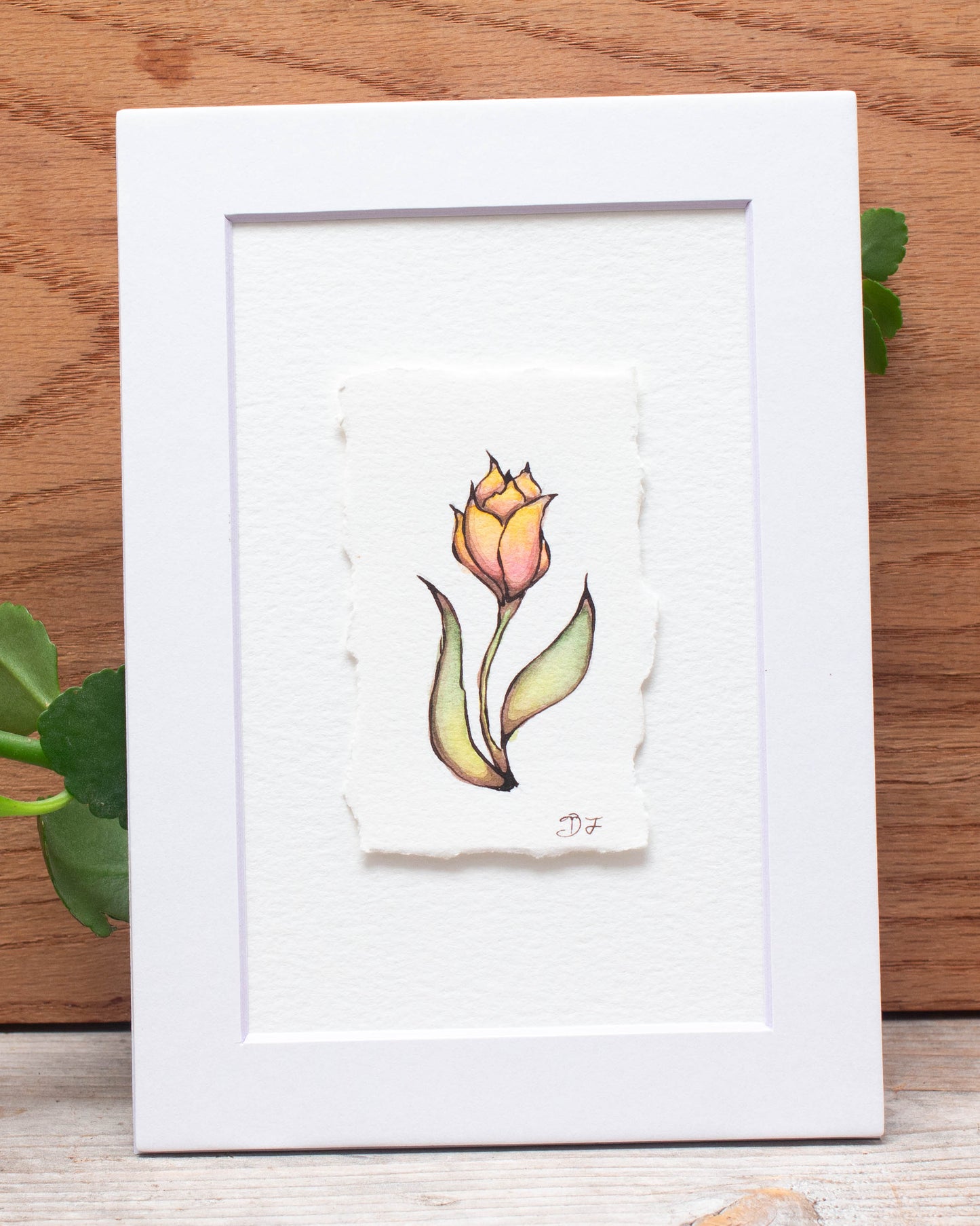 "Dancing Tulip" Original Illustration