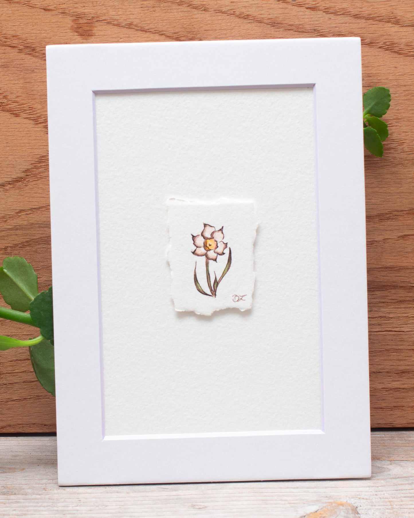 "Daffodil" Original Illustration