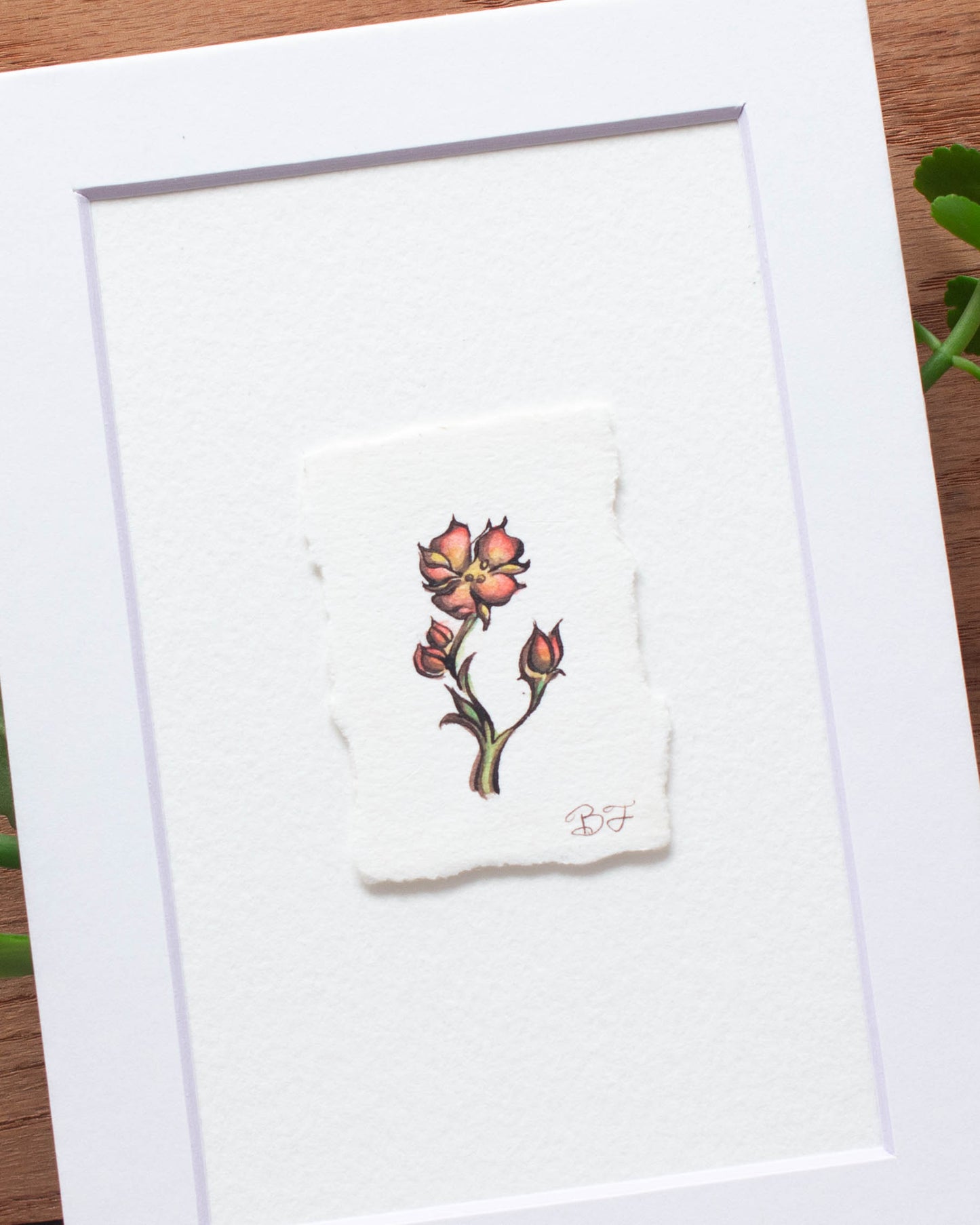 "Fairy Rose" Original Illustration