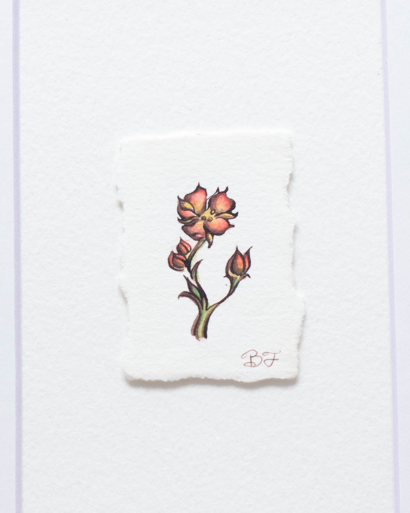 "Fairy Rose" Original Illustration