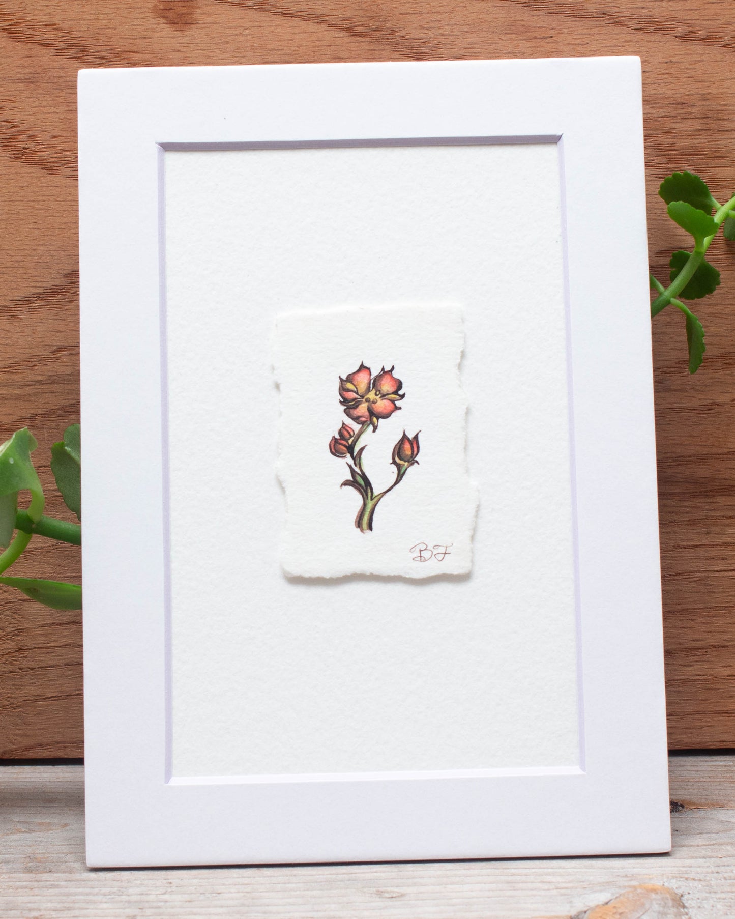 "Fairy Rose" Original Illustration