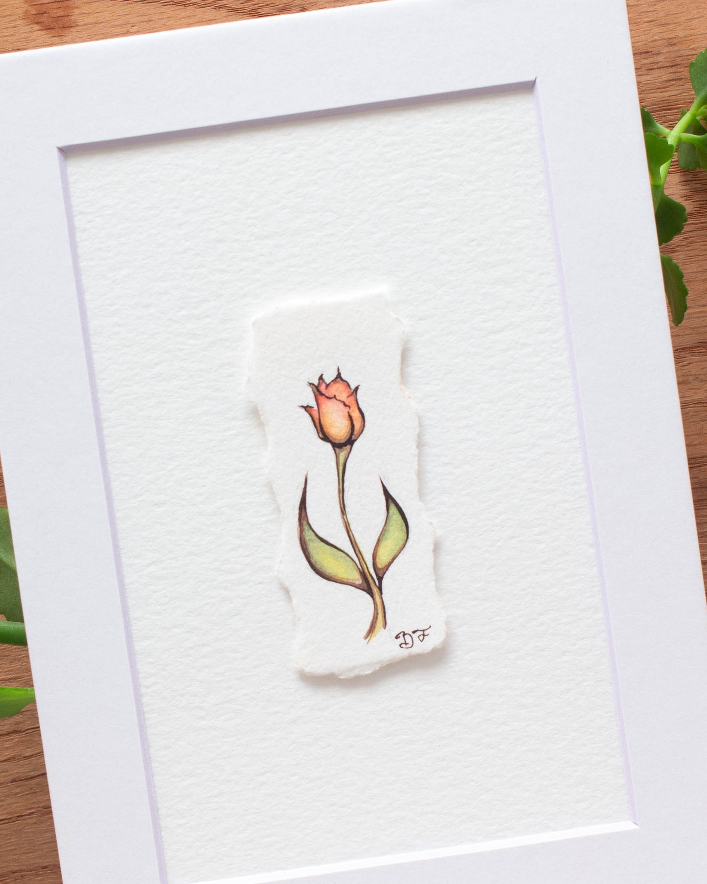 "Demure Tulip" Original Illustration