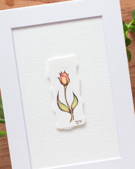 "Demure Tulip" Original Illustration