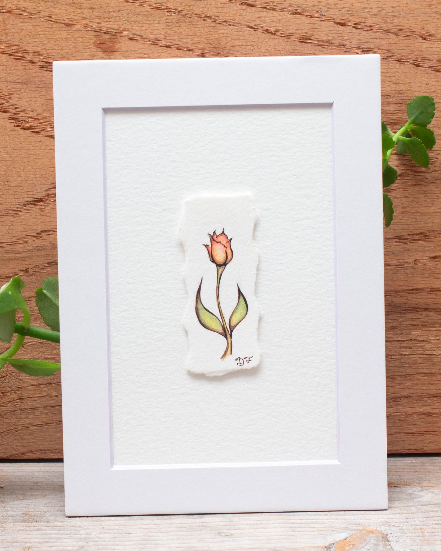 "Demure Tulip" Original Illustration