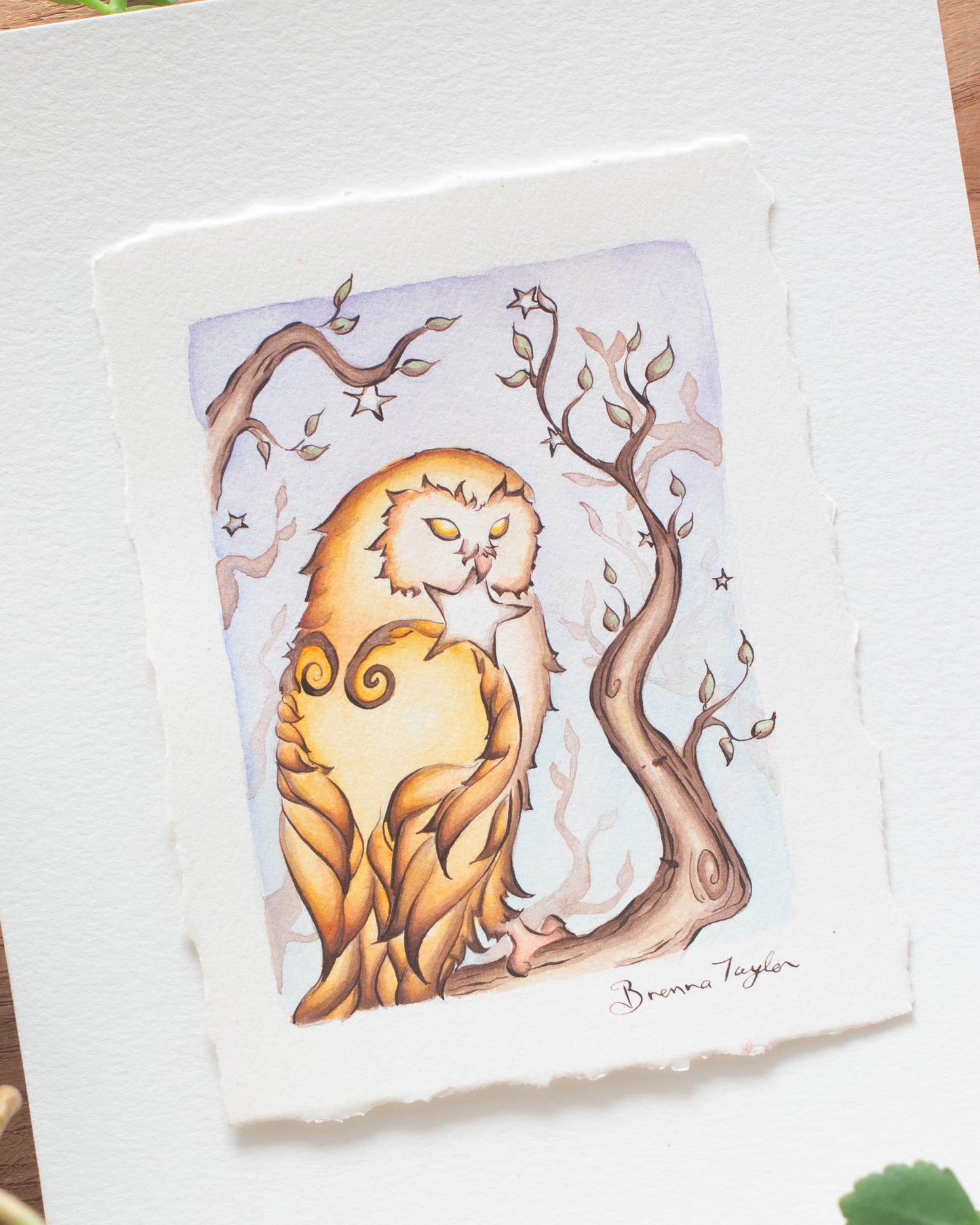 "Star Keeper" Original Illustration