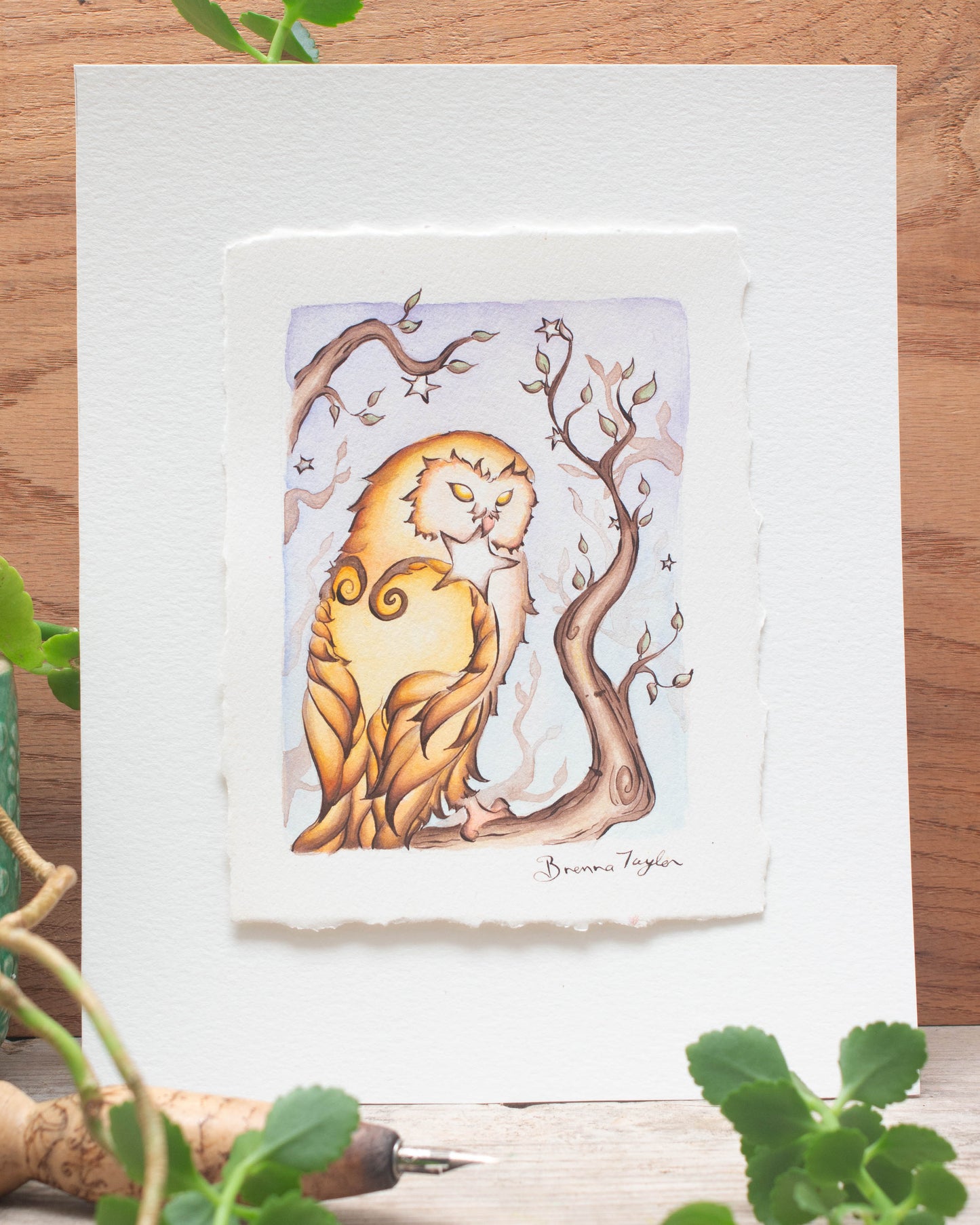 "Star Keeper" Original Illustration