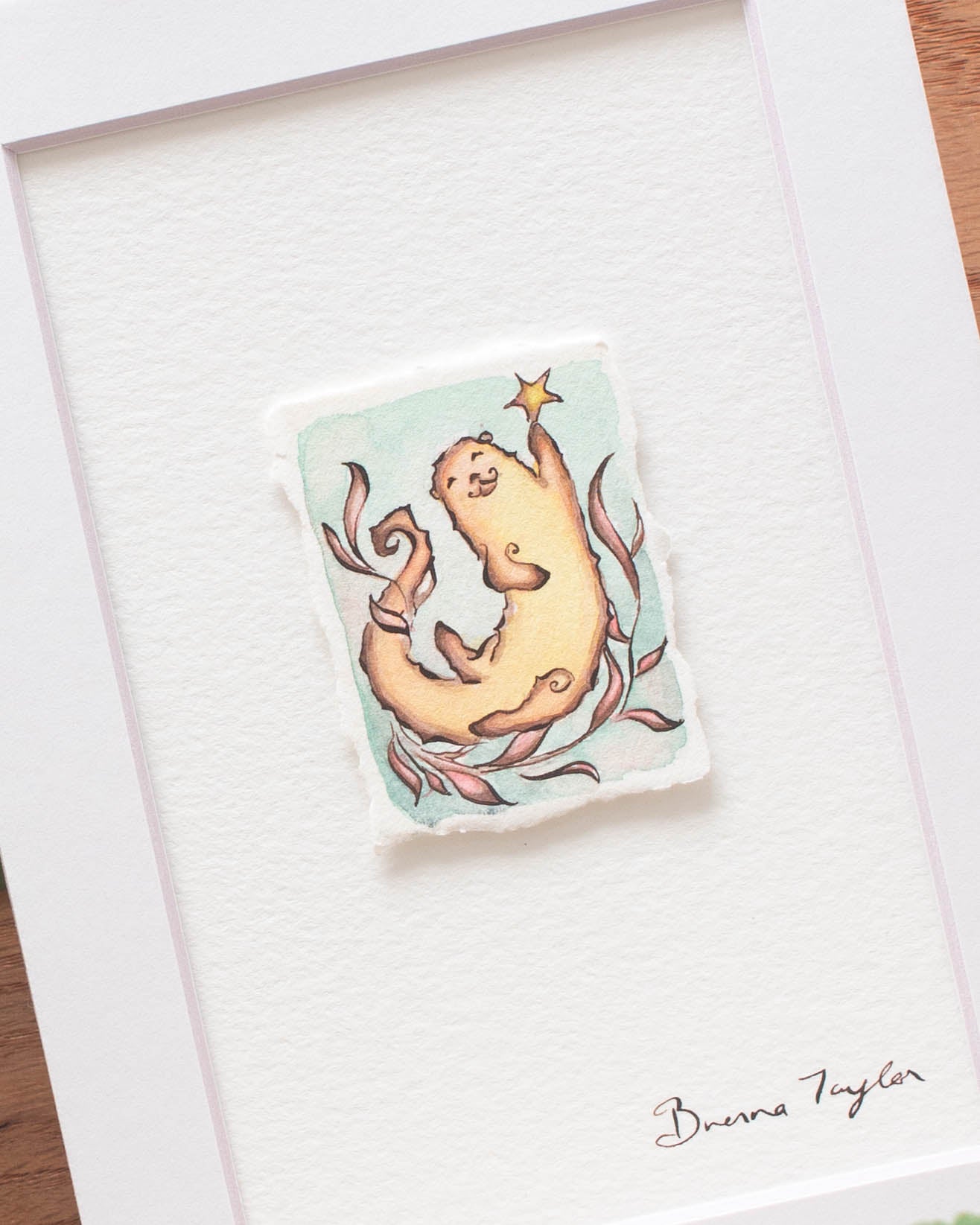 "Magical Catch" Original Illustration