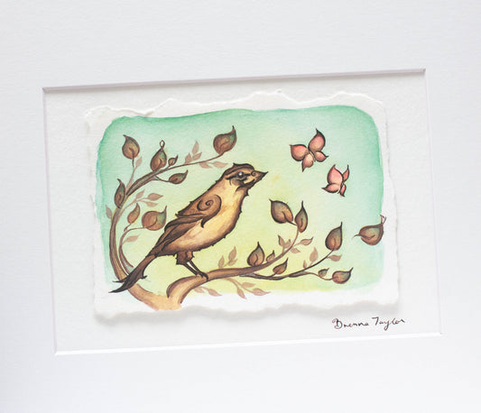 "Song Sparrow" Original Illustration