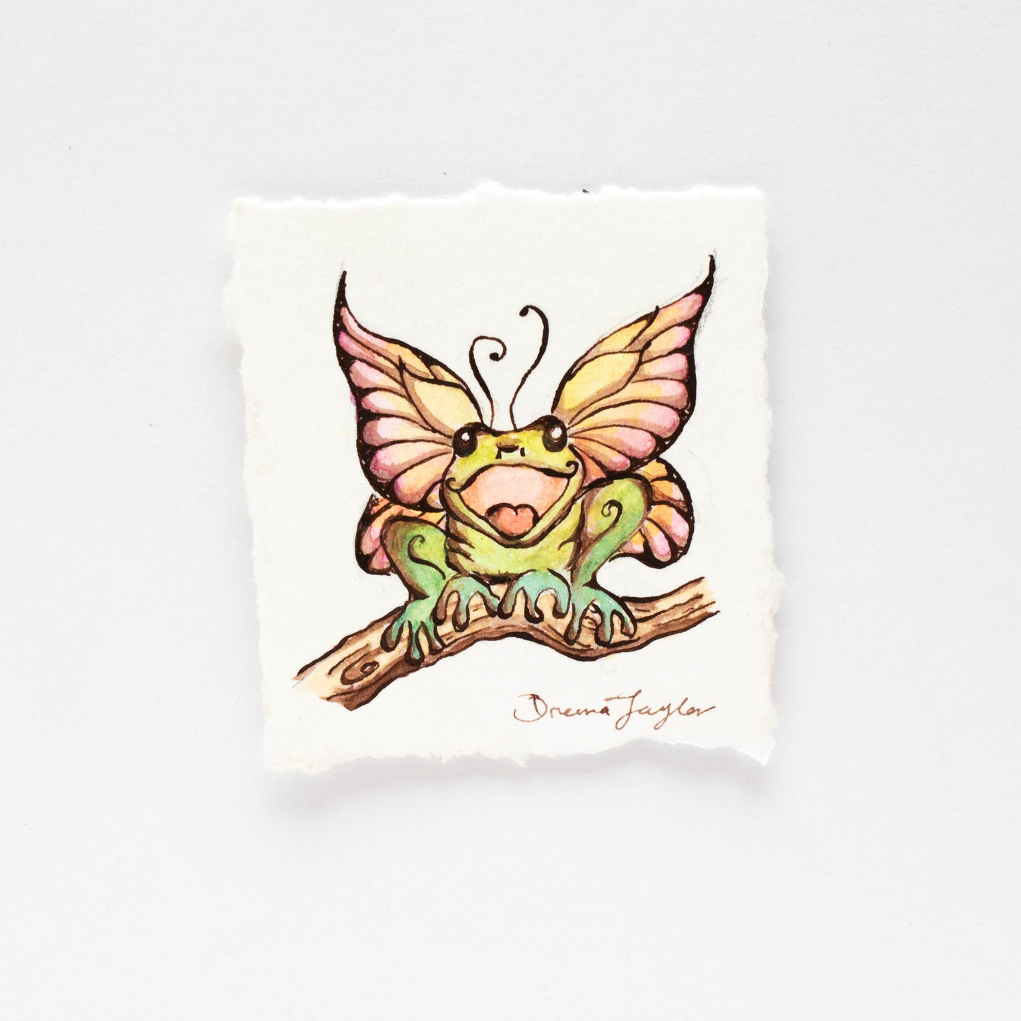 Tiny, Happy Fairy Frog on Branch Illustration