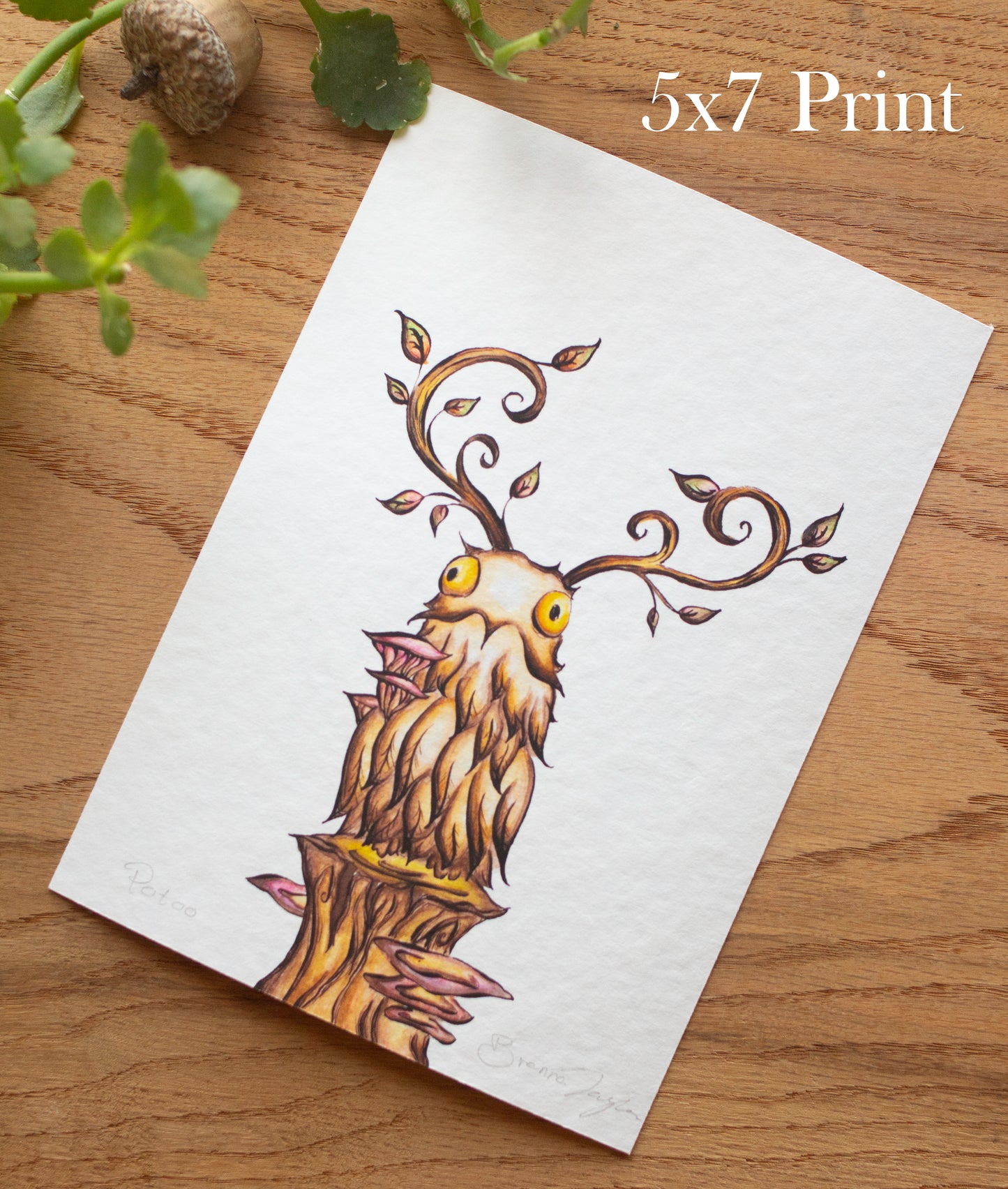 Potoo Signed Archival Giclee Print