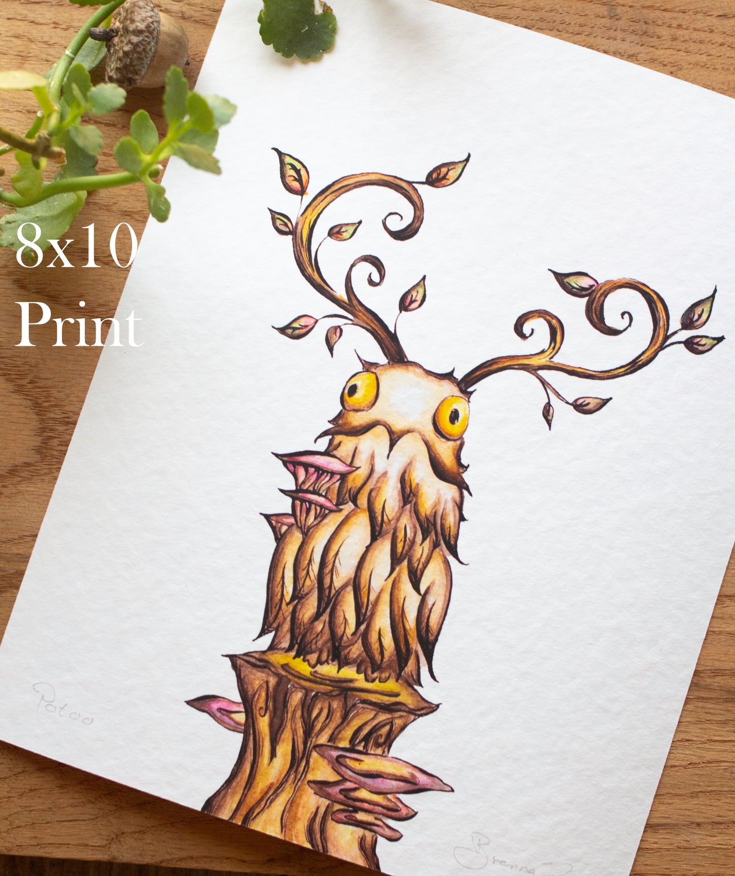 Potoo Signed Archival Giclee Print