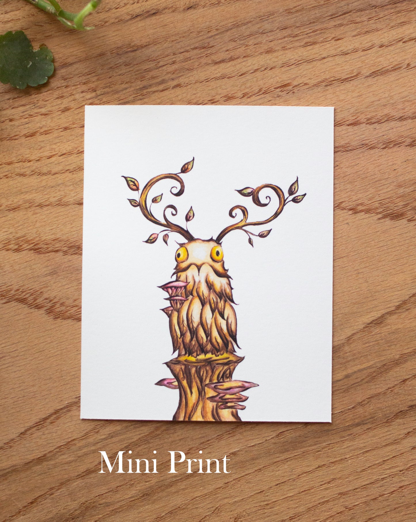 Potoo Signed Archival Giclee Print
